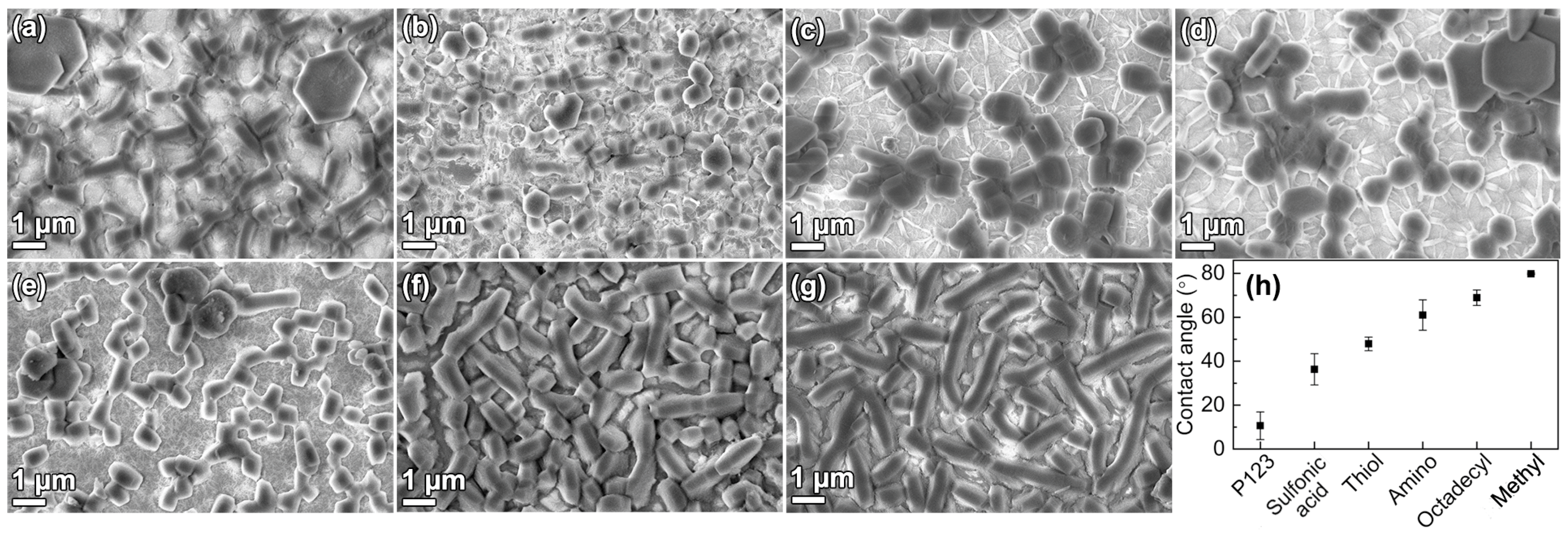 Nanomaterials 09 00562 g005