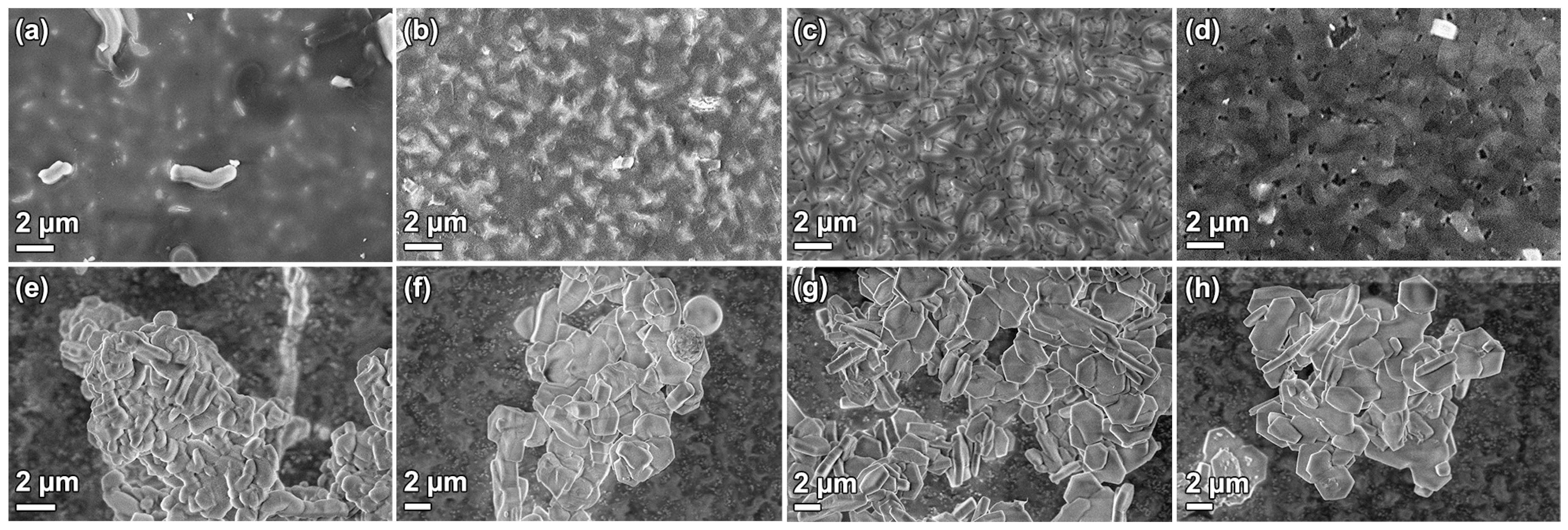 Nanomaterials 09 00562 g007