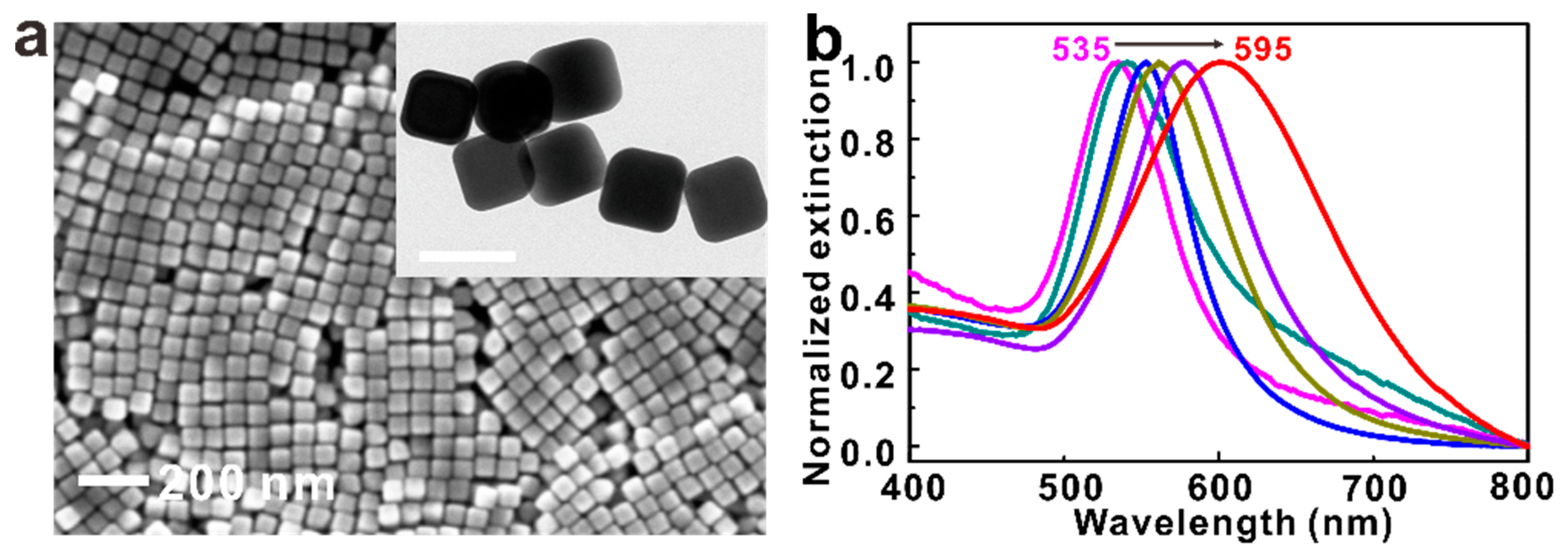 Nanomaterials 09 00564 g001 Nanomaterials 09 00564 g001