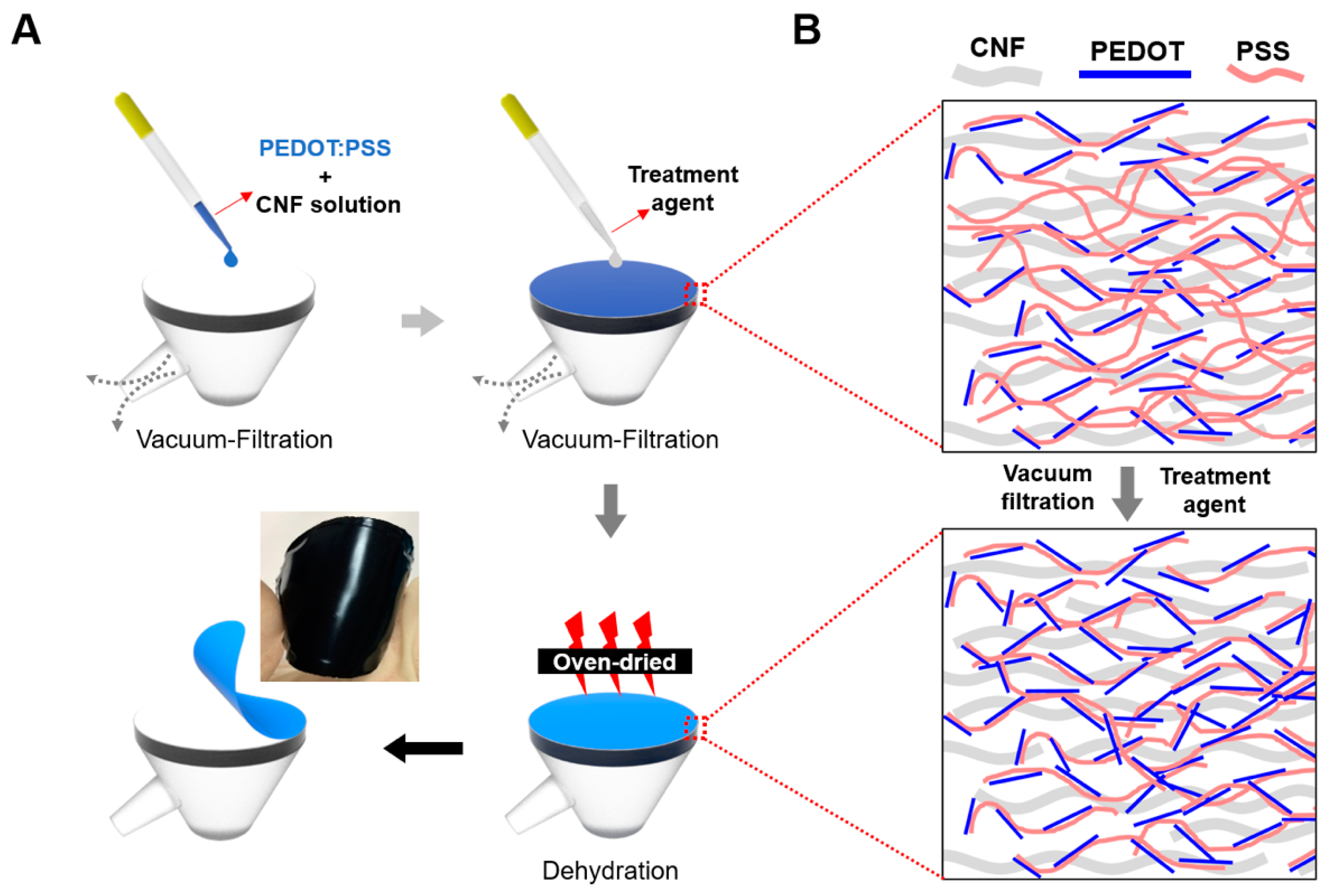 Nanomaterials Free Full Text Fabrication Of Highly Conductive Porous Cellulose Pedot Pss Nanocomposite Paper Via Post Treatment Html