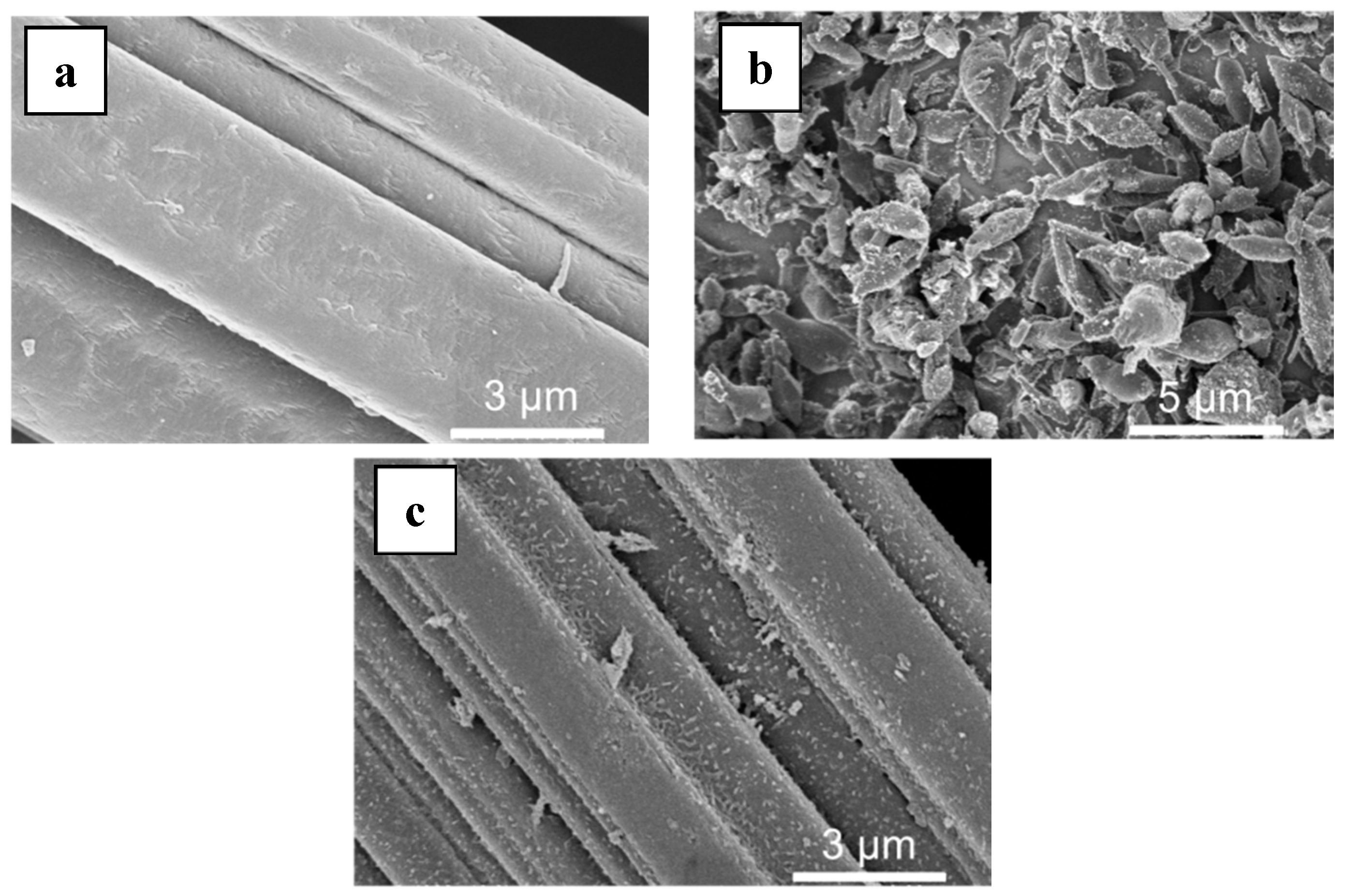 Nanomaterials 09 00641 g001