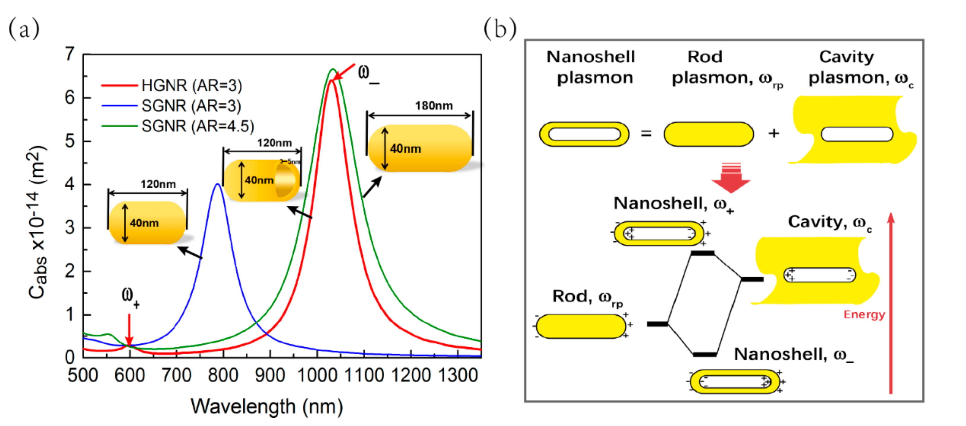 Nanomaterials | Free Full-Text | Photothermal Response of Hollow Gold  Nanorods under Femtosecond Laser Irradiation