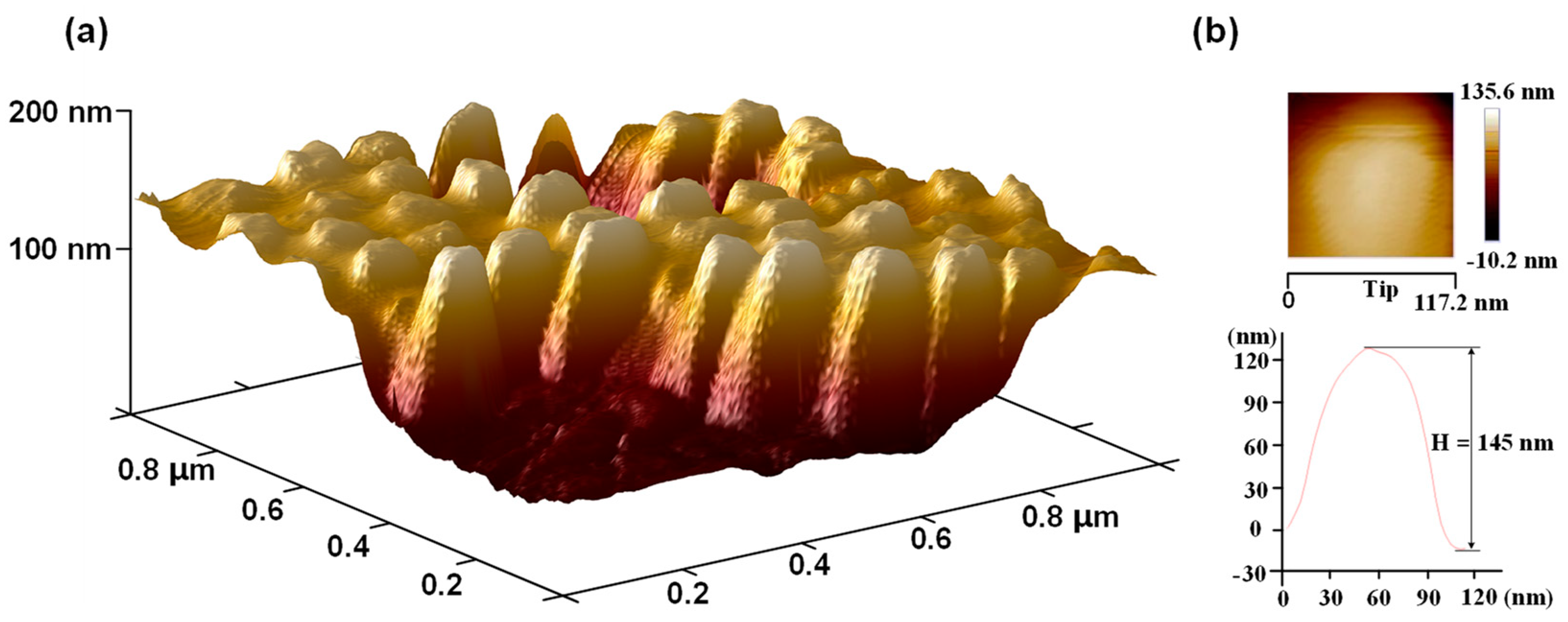 Nanomaterials 09 00747 g010