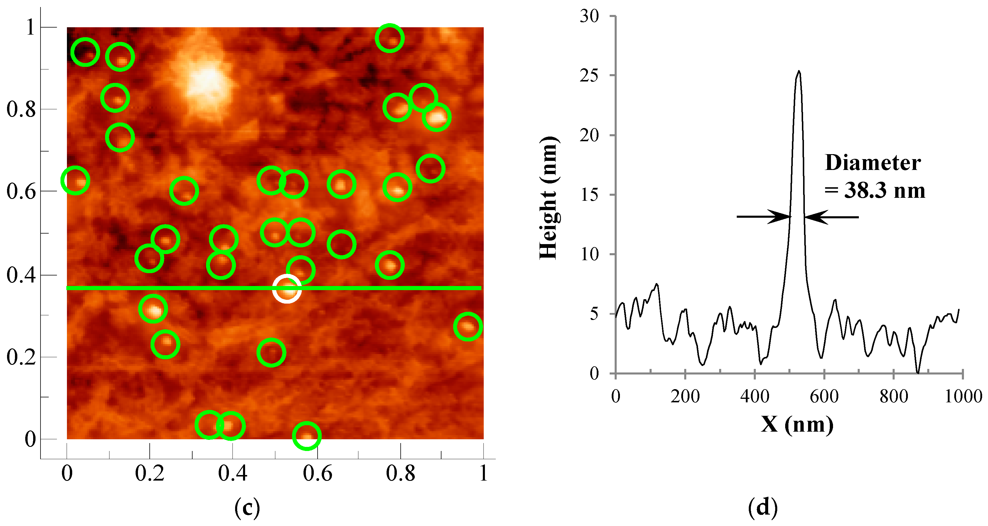 Nanomaterials 09 00780 g002b Nanomaterials 09 00780 g002b