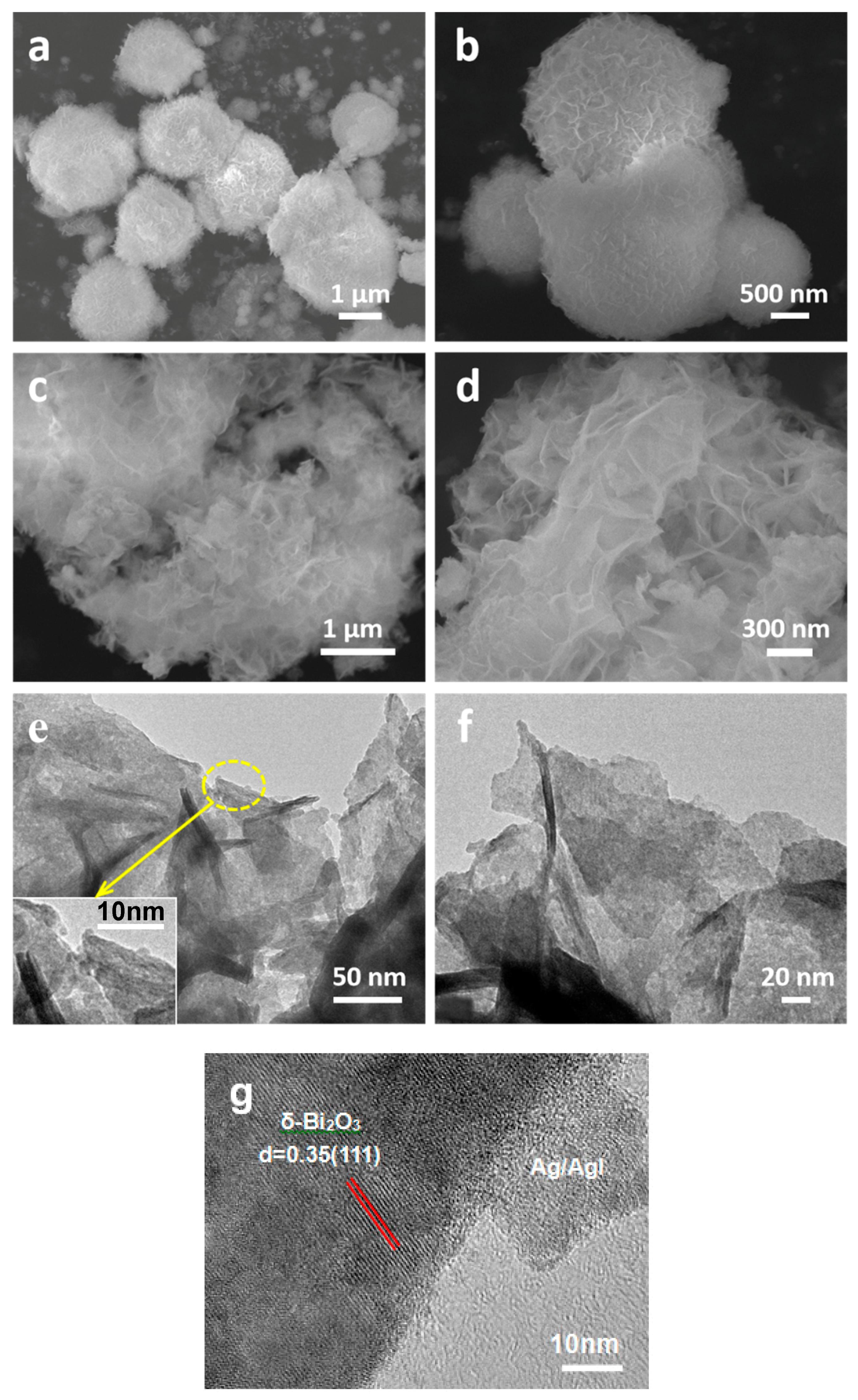 Nanomaterials 09 00781 g003