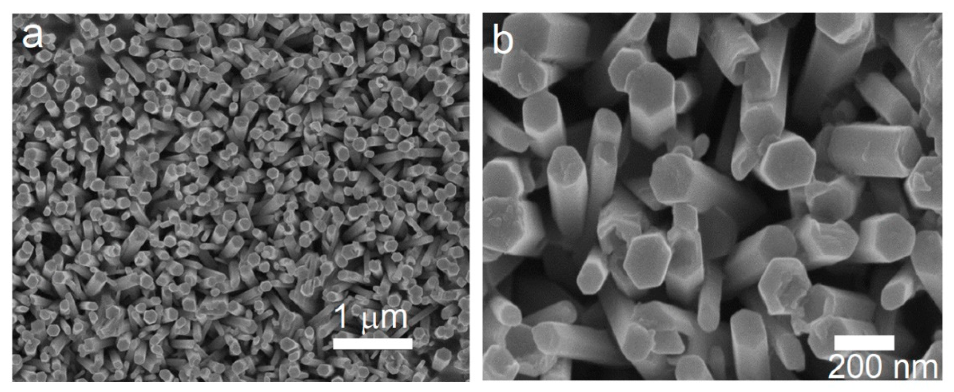 Nanomaterials 09 00794 g001