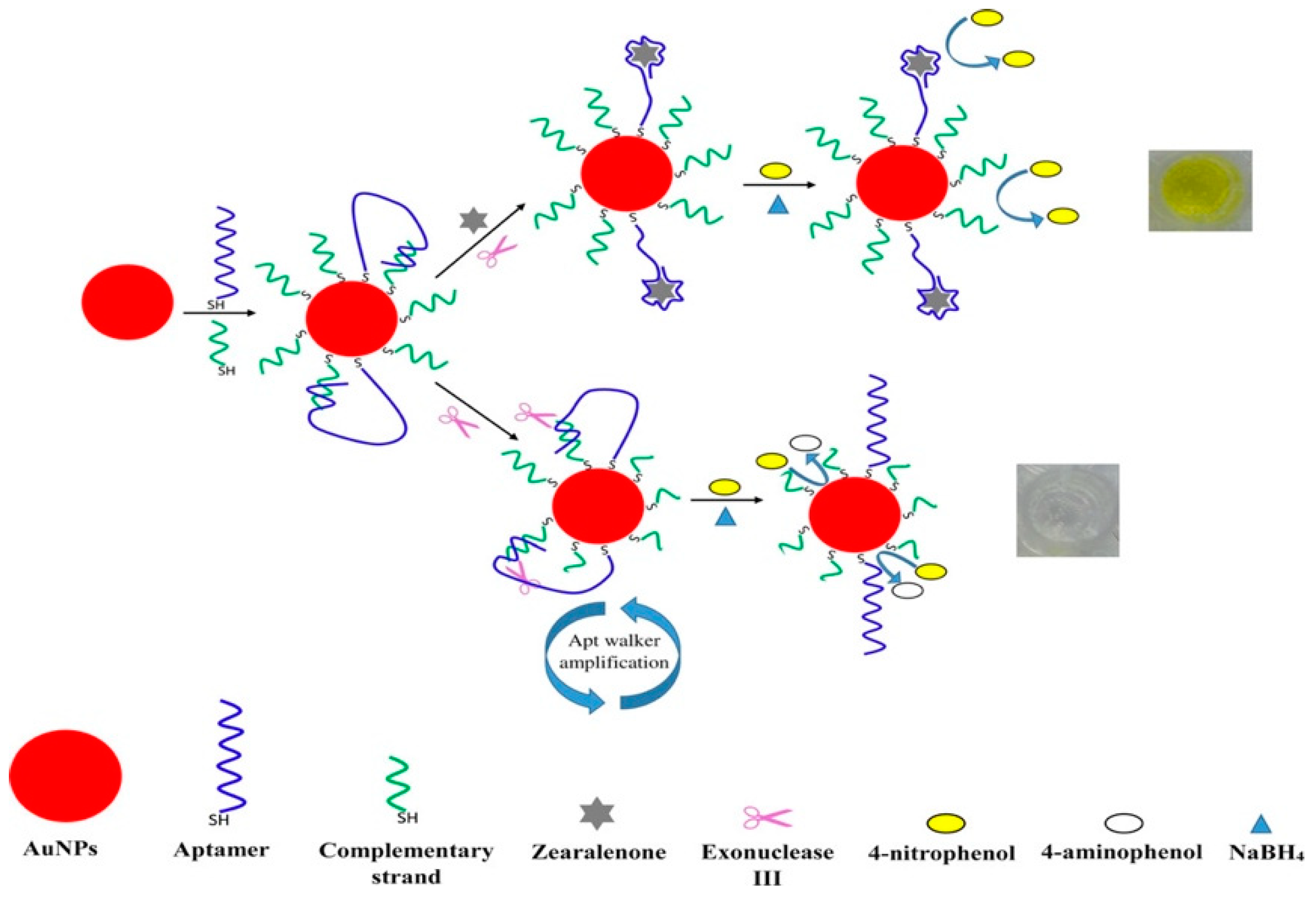 Nanomaterials 09 00861 g014 Nanomaterials 09 00861 g014