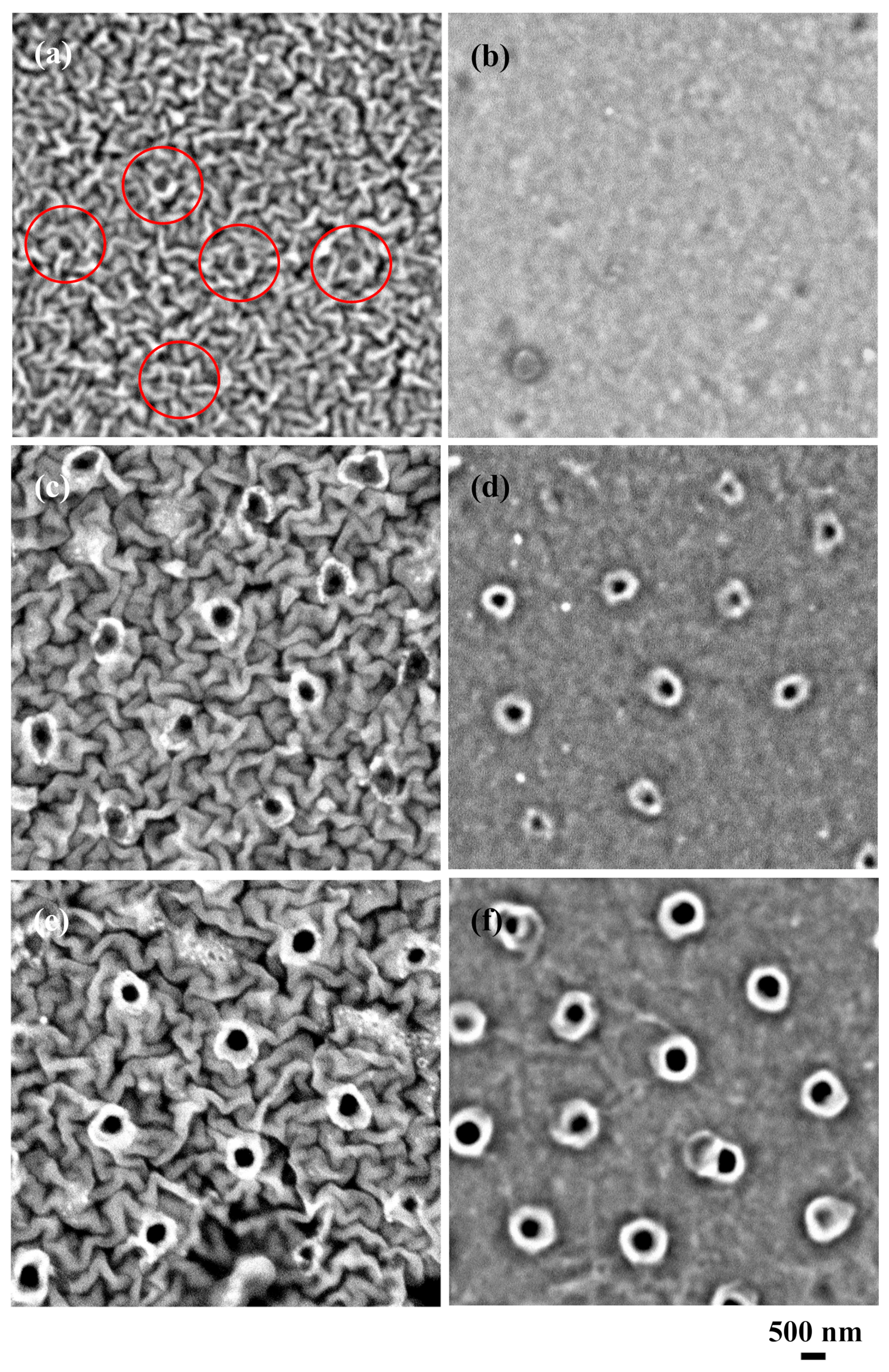 https://www.mdpi.com/nanomaterials/nanomaterials-09-00870/article_deploy/html/images/nanomaterials-09-00870-g001.png