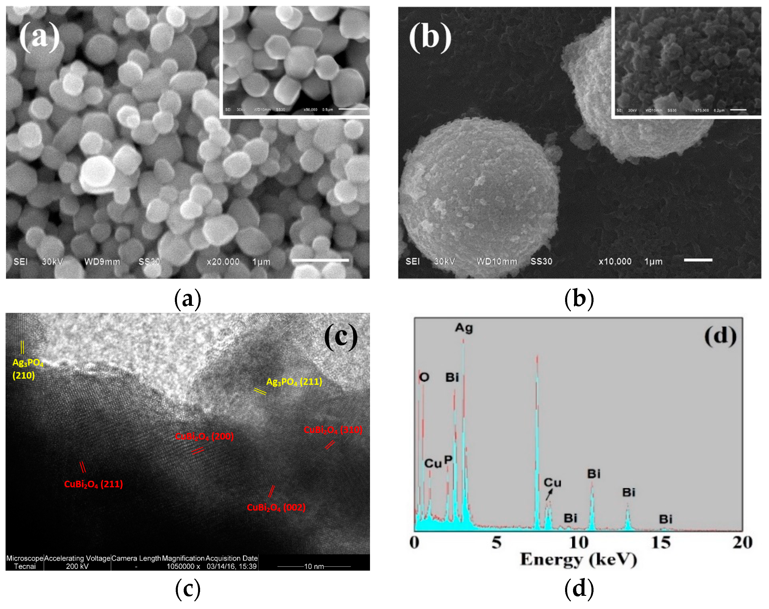 Nanomaterials 09 00959 g002