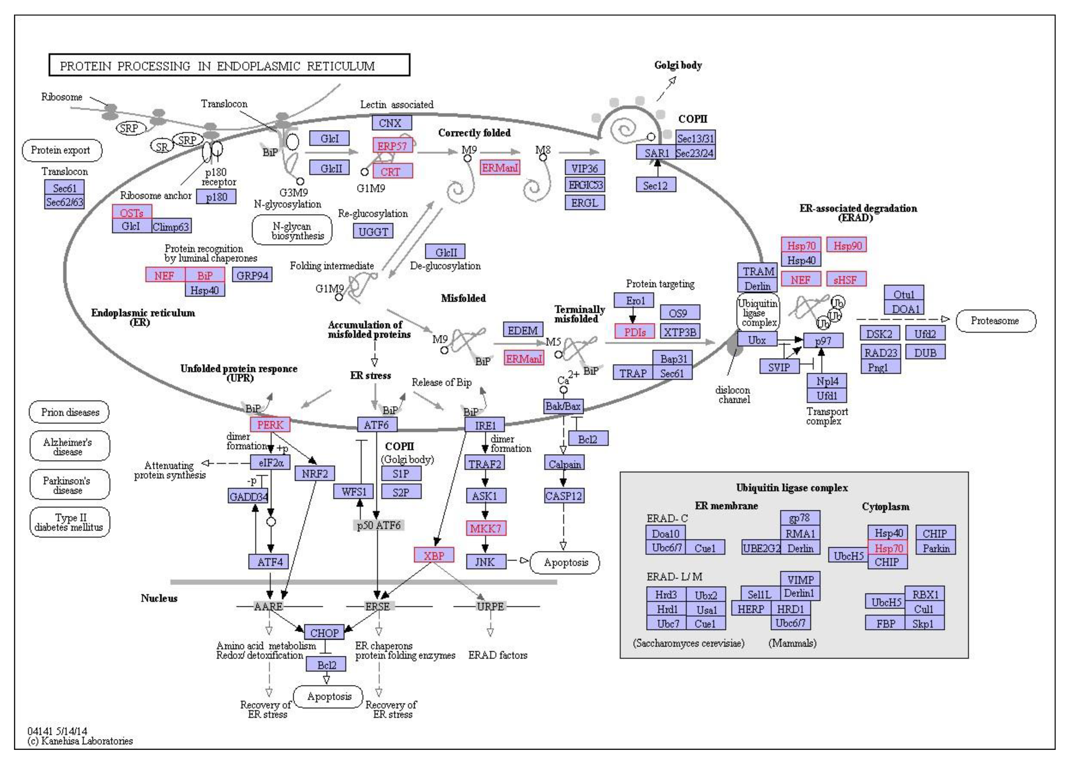 Nanomaterials 09 00987 g008