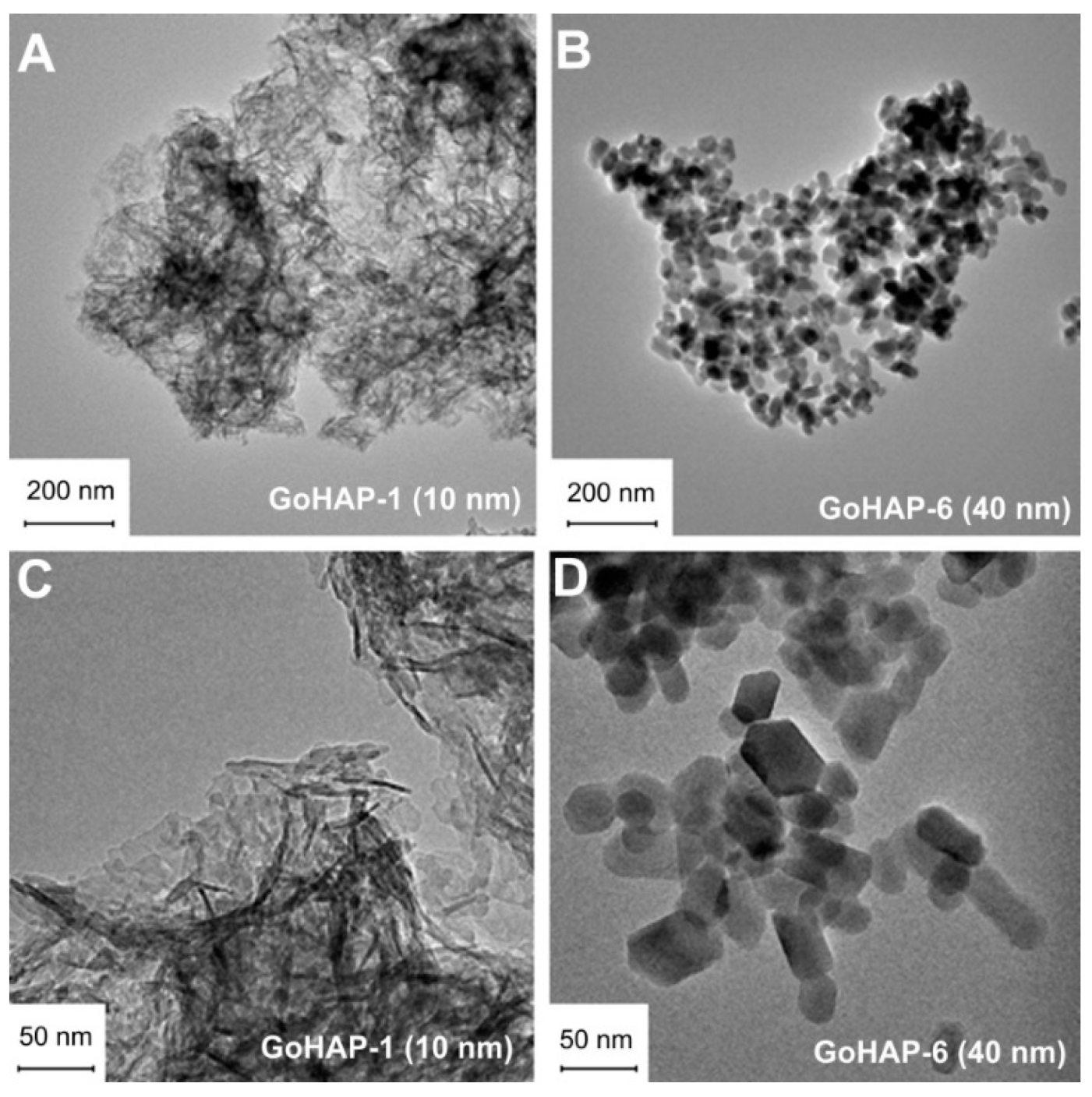 Nanomaterials 09 01005 g003