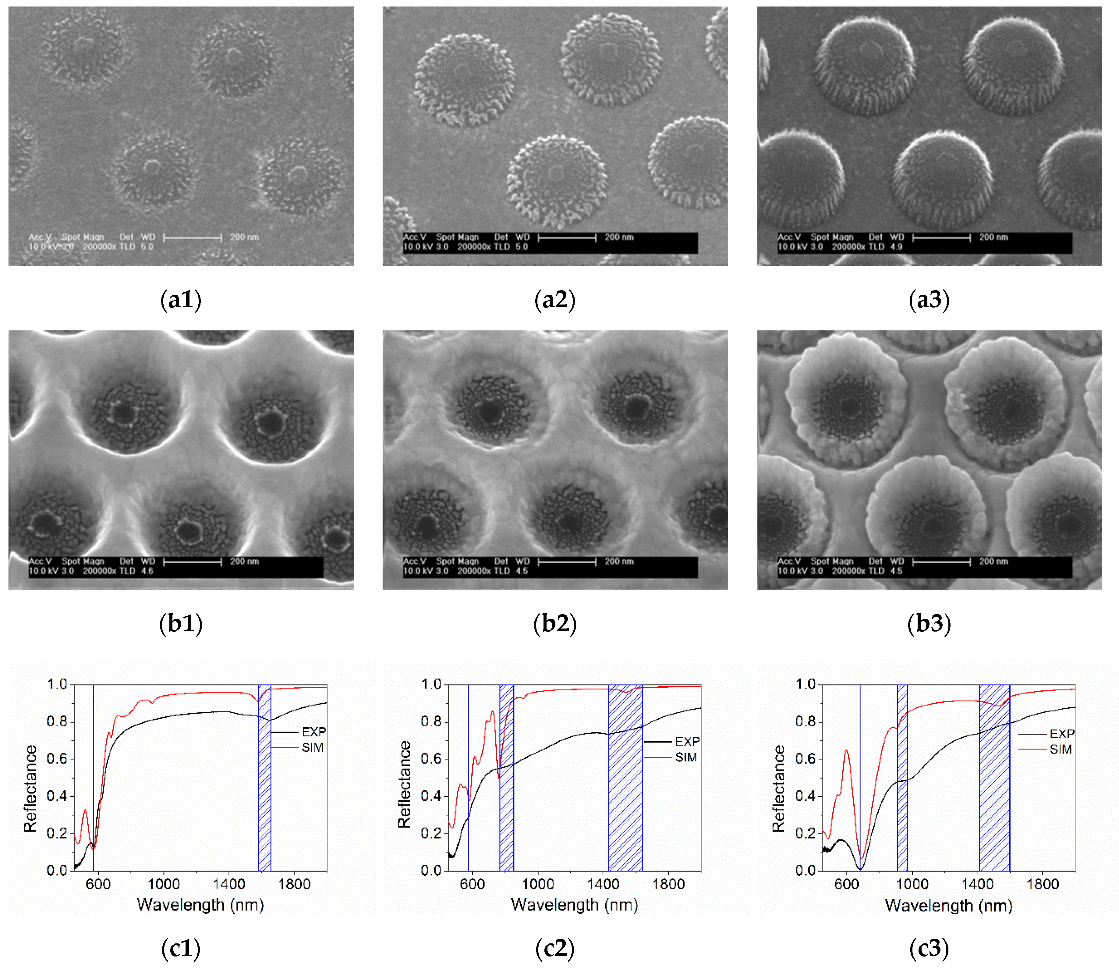 Nanomaterials 09 01017 g003