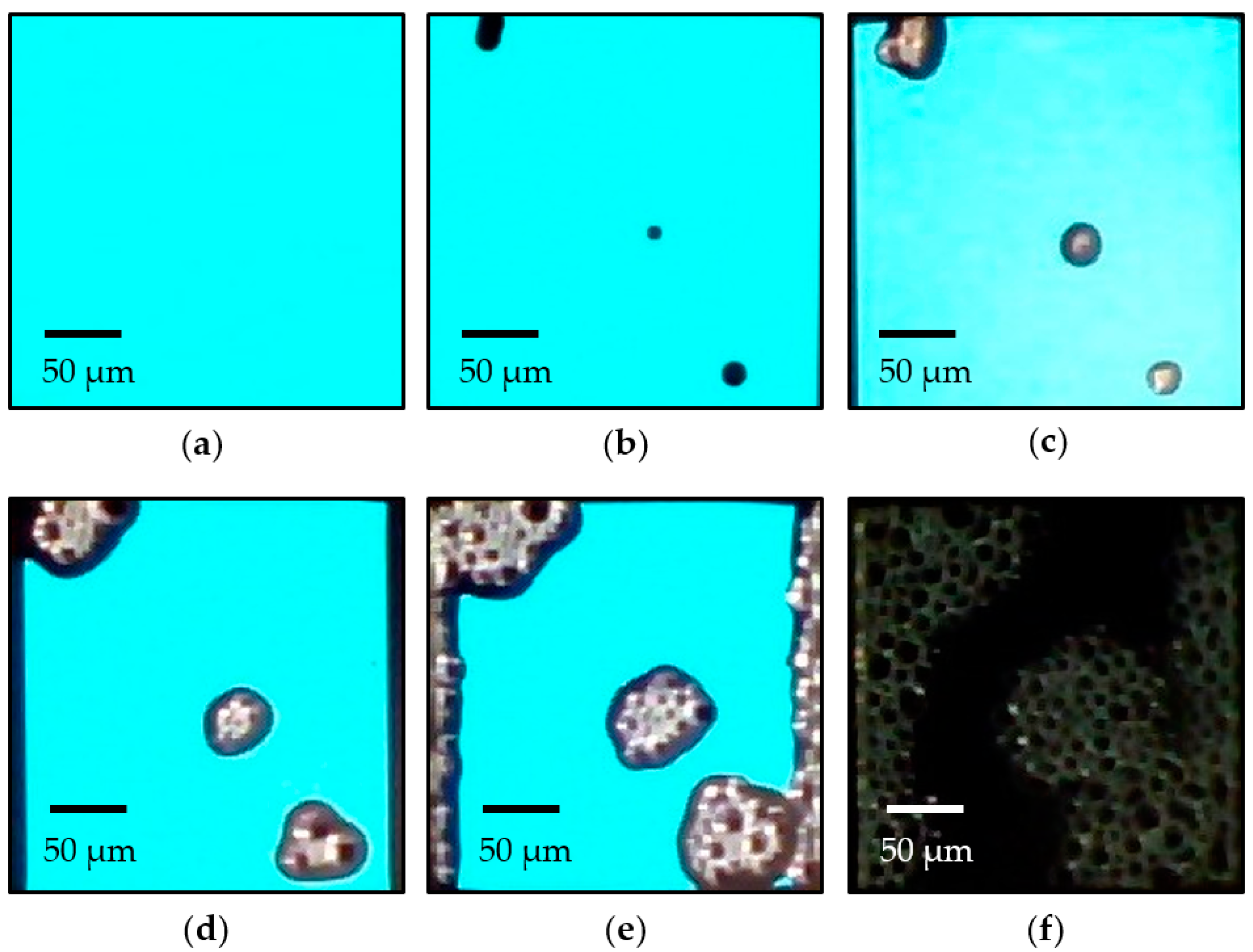 Nanomaterials 09 01053 g007 Nanomaterials 09 01053 g007