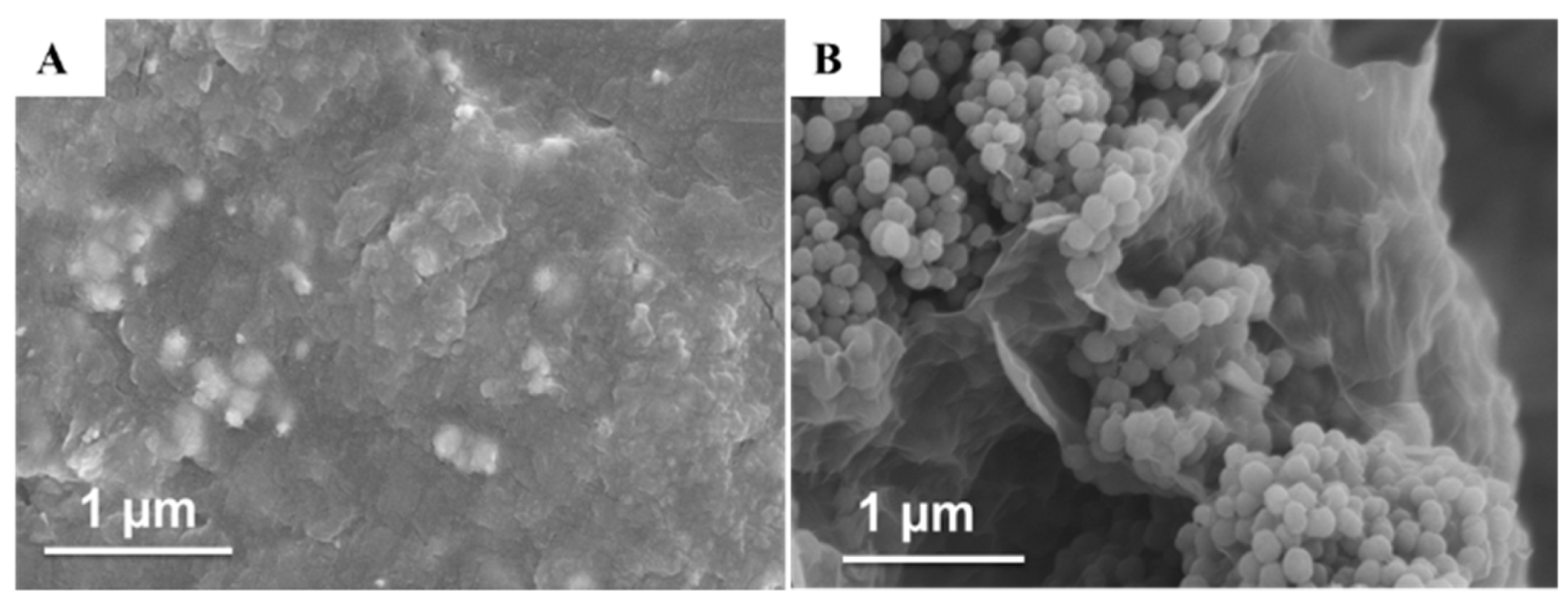 Nanomaterials 09 01109 g003 Nanomaterials 09 01109 g003