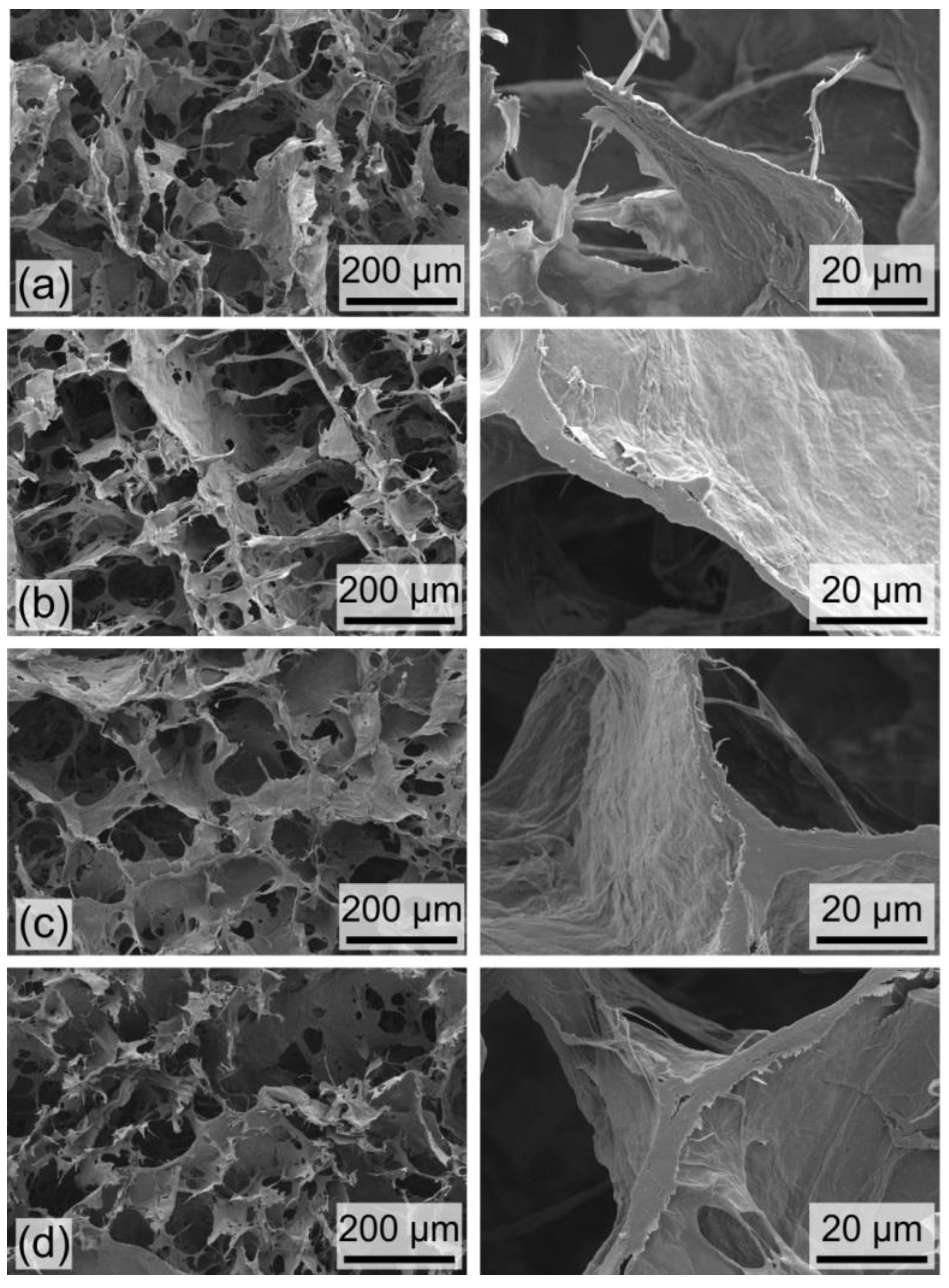 Nanomaterials Free Full Text Ultra Porous Nanocellulose Foams A Facile And Scalable Fabrication Approach