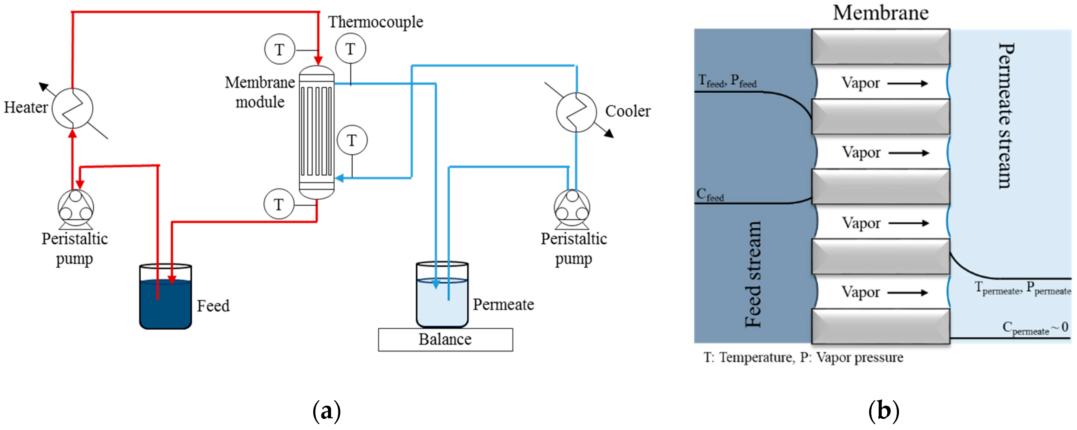 Nanomaterials 09 01159 g001
