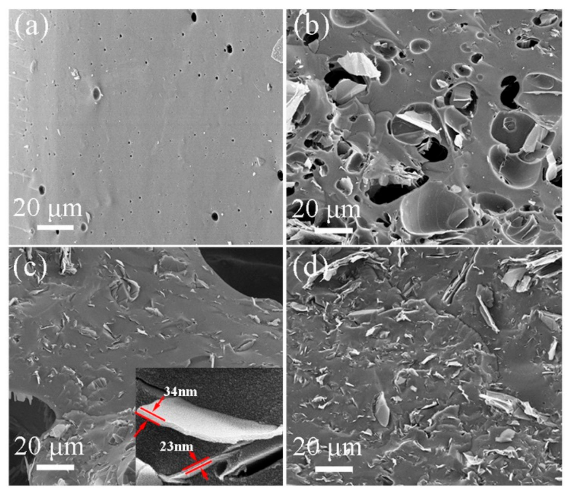 Nanomaterials 09 01242 g007