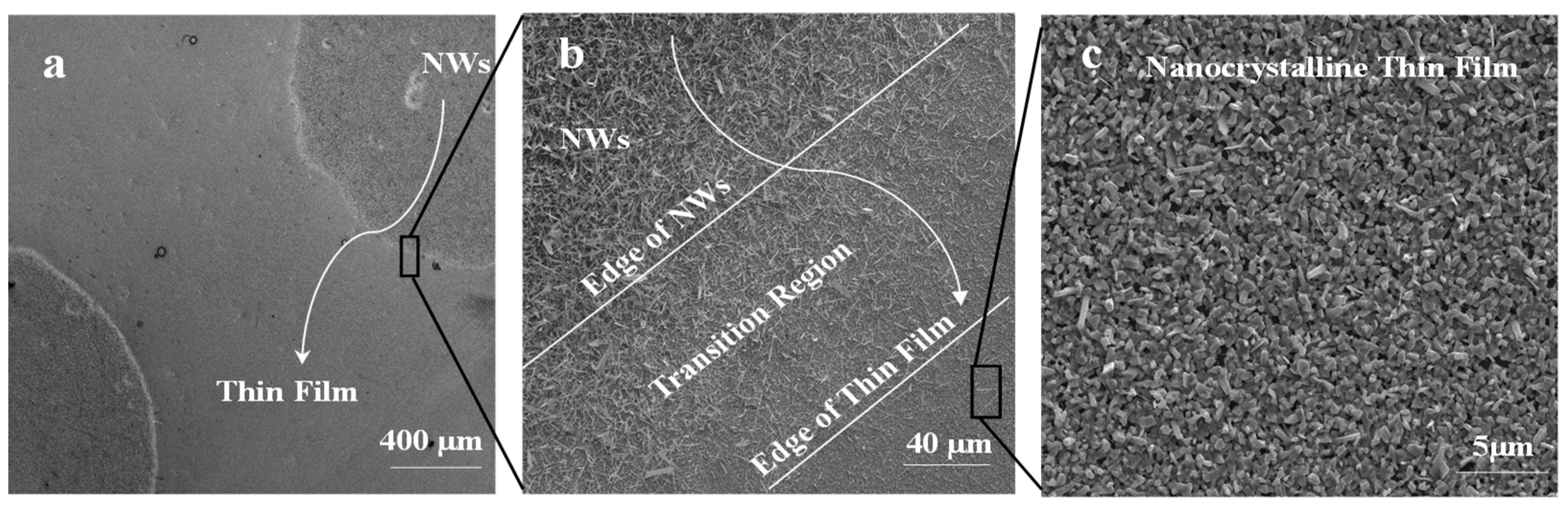 Nanomaterials 09 01272 g005