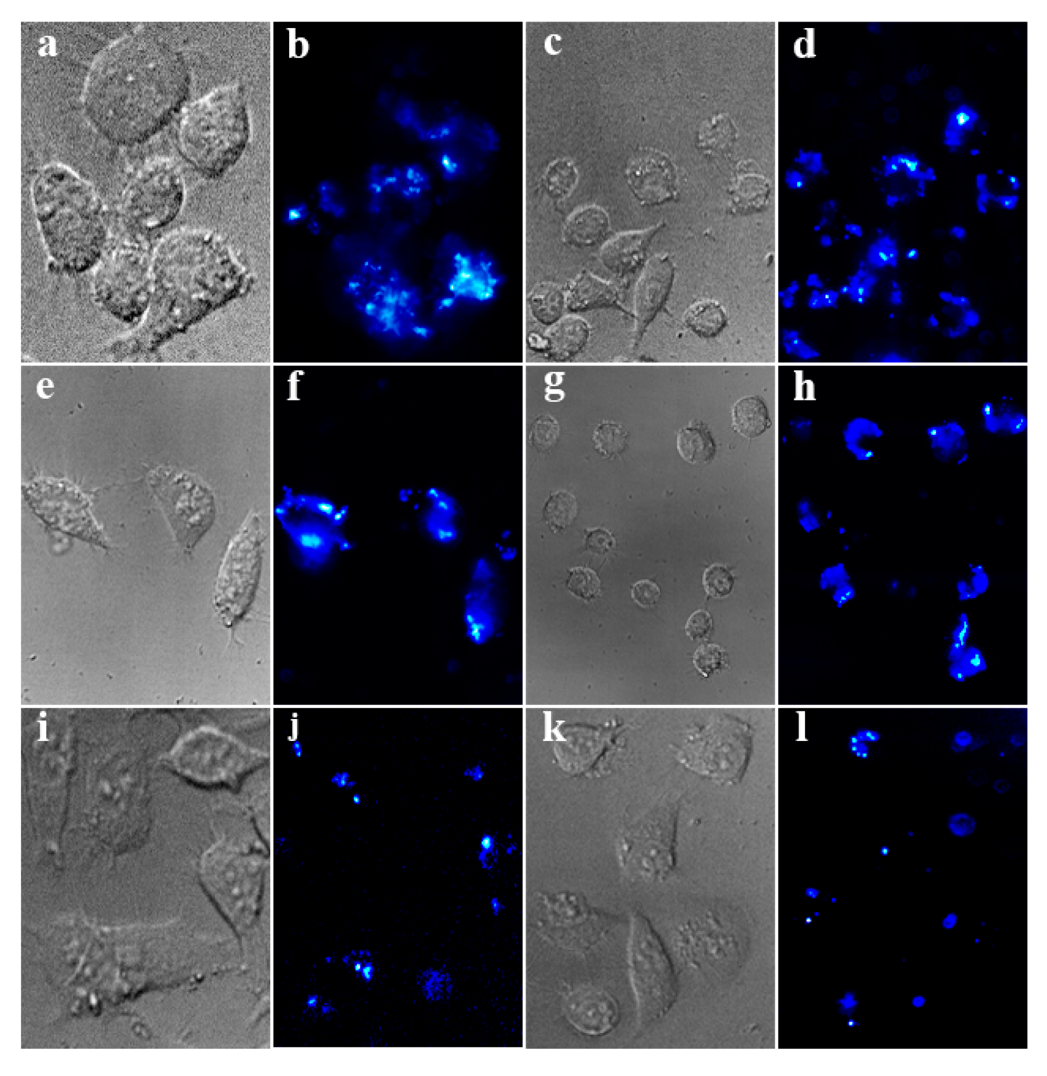 Nanomaterials 09 01274 g008 Nanomaterials 09 01274 g008
