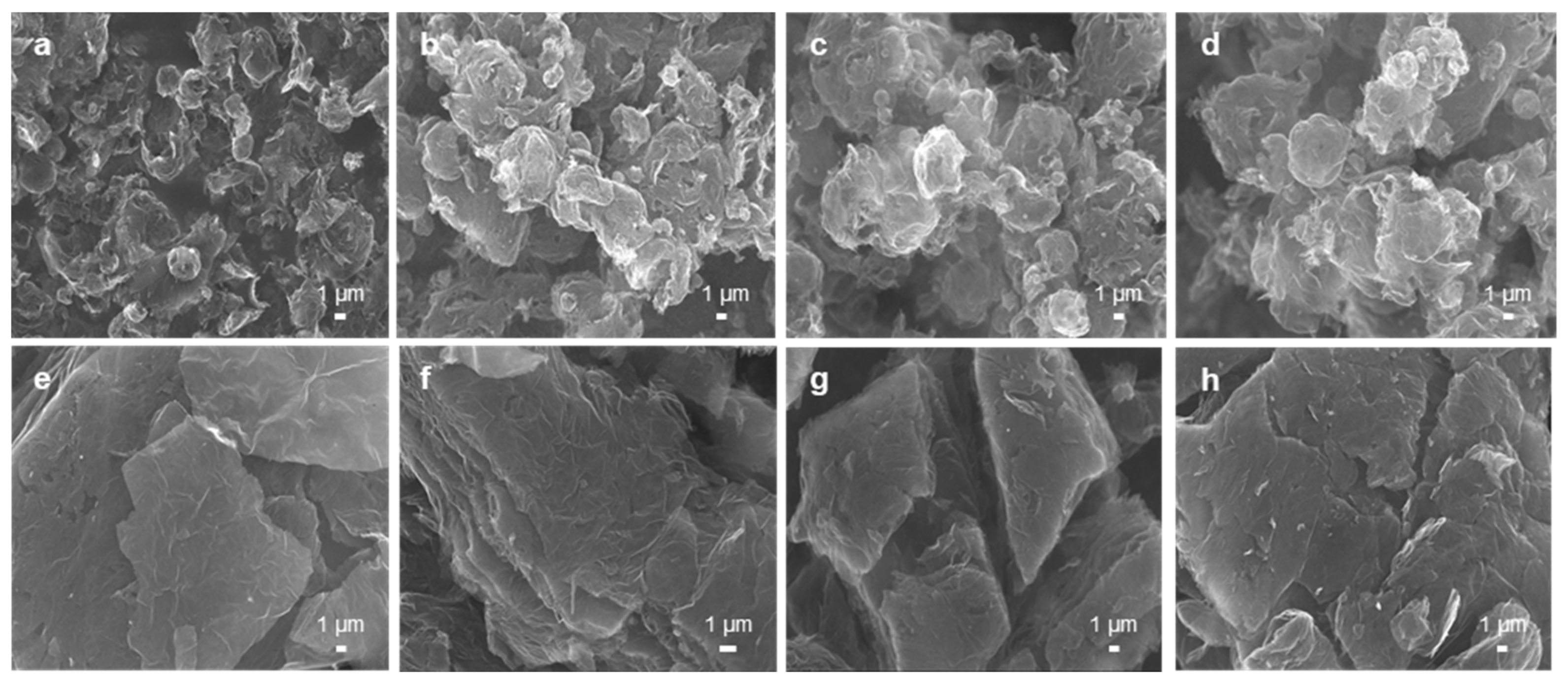 graphene oxide sem