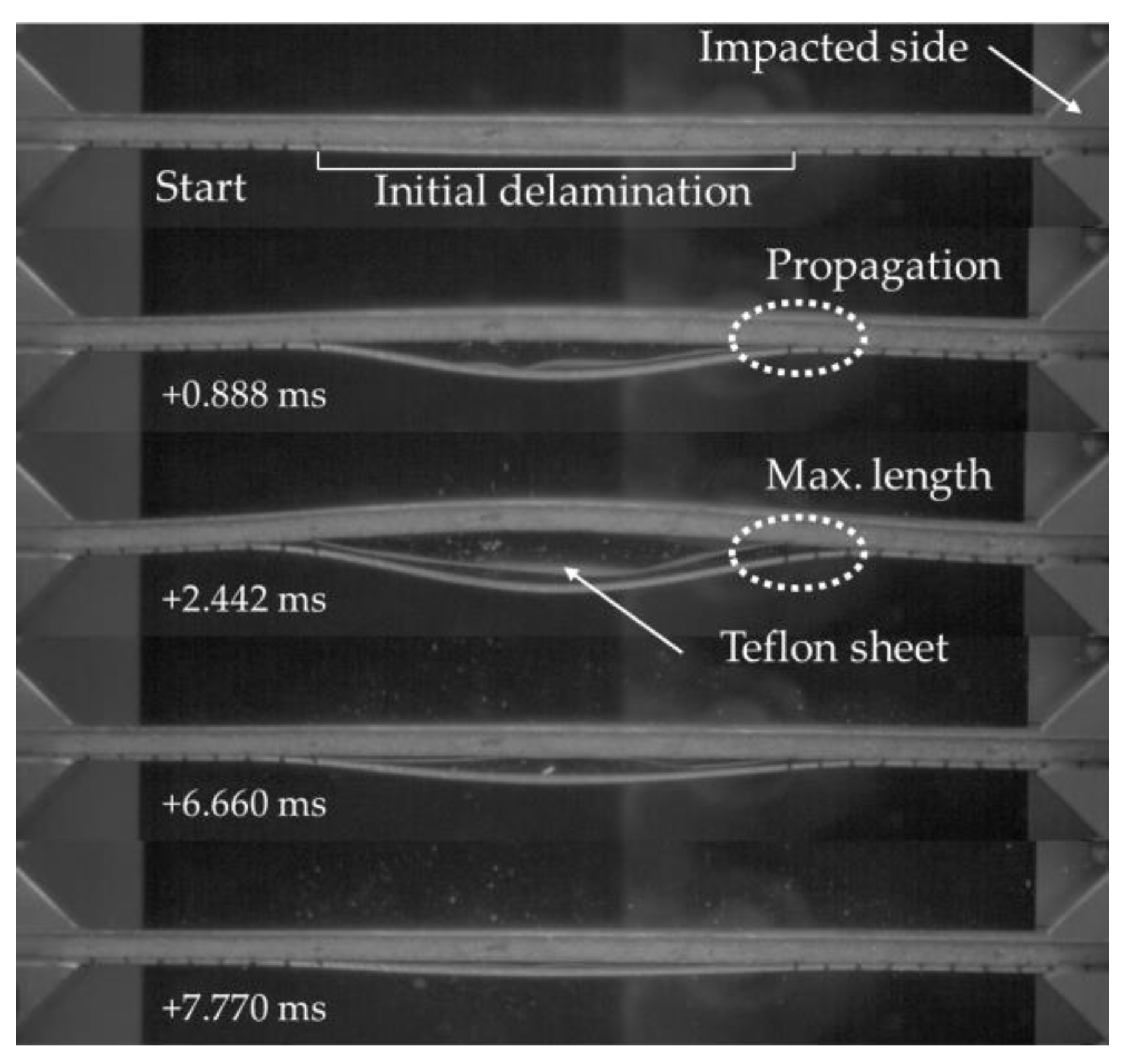 Nanomaterials 09 01482 g012