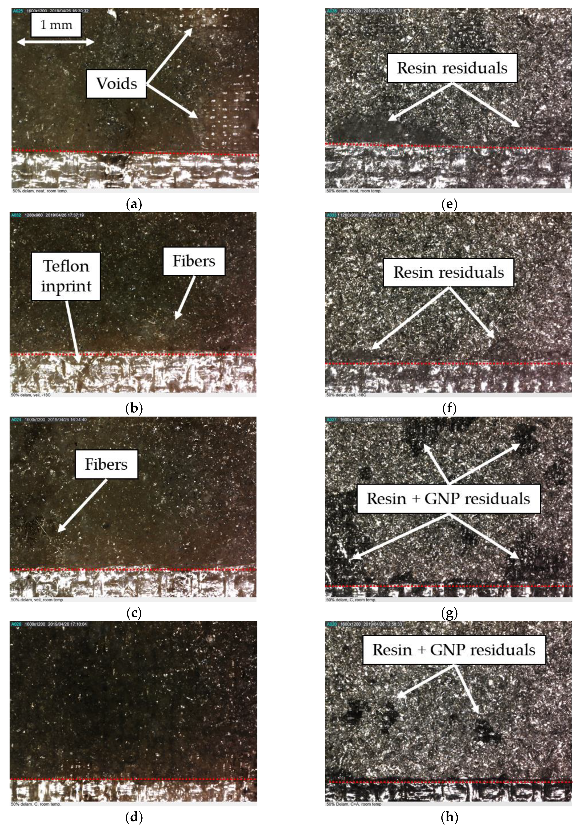 Nanomaterials 09 01482 g014
