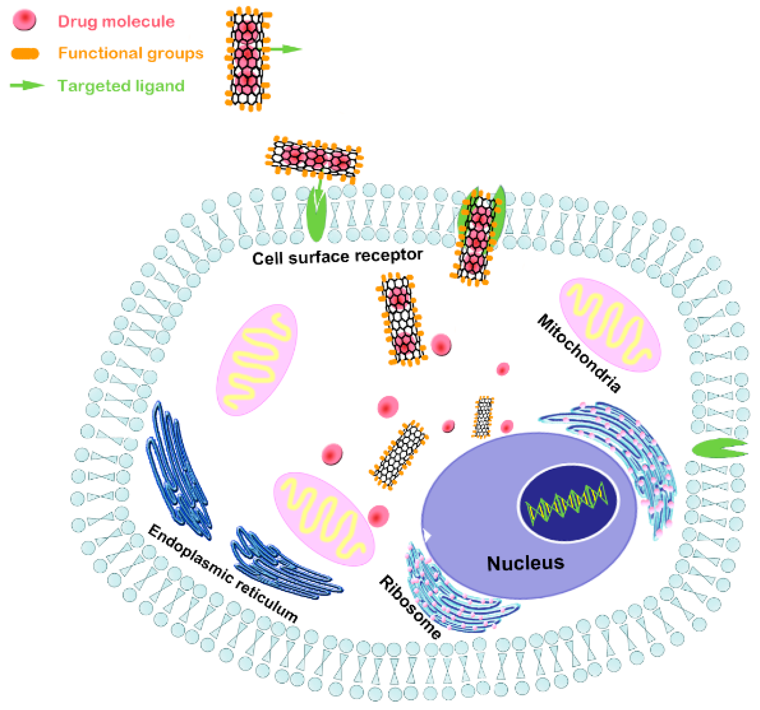Nanomaterials 09 01501 g007