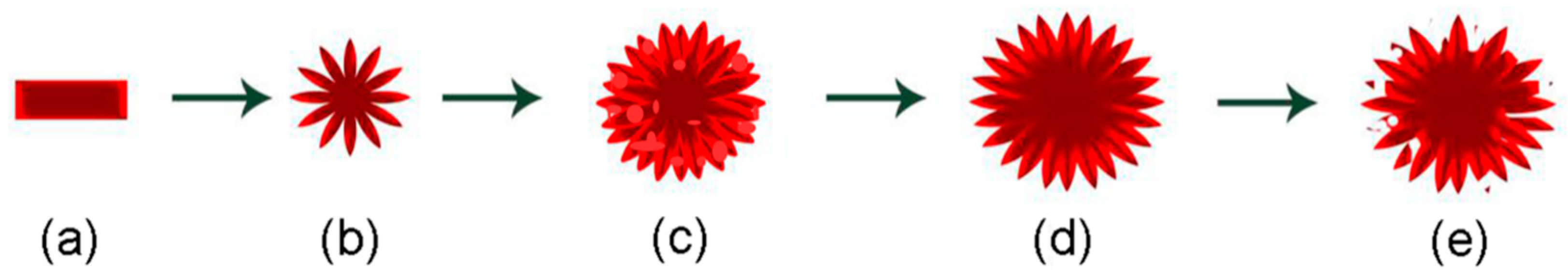 Nanomaterials 09 01603 g003