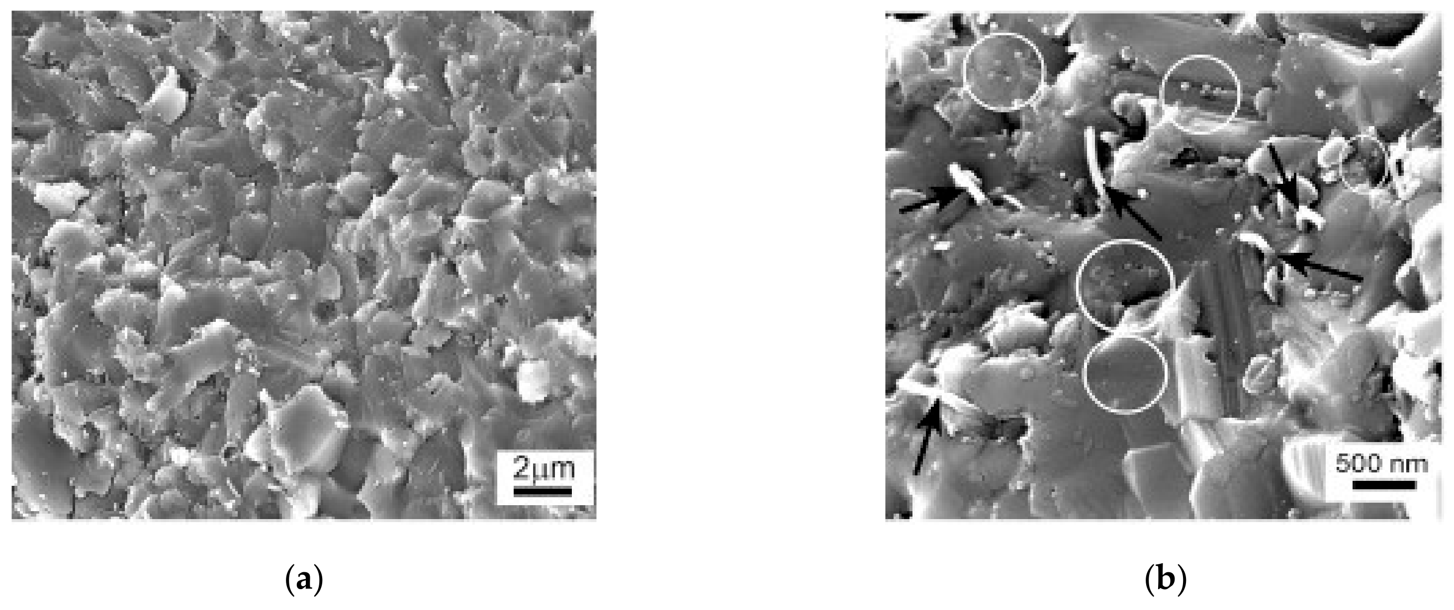 Nanomaterials 09 01607 g006 Nanomaterials 09 01607 g006