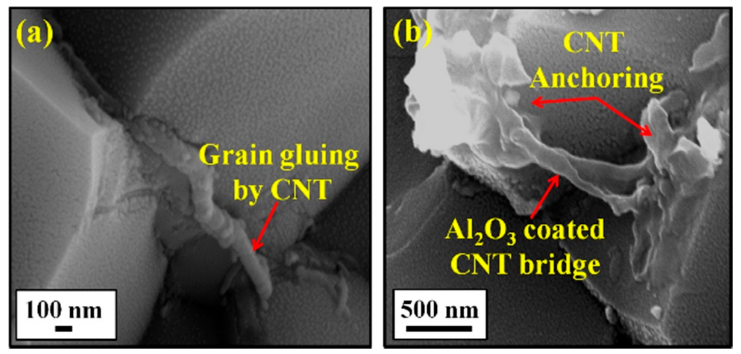 Nanomaterials 09 01607 g019 Nanomaterials 09 01607 g019