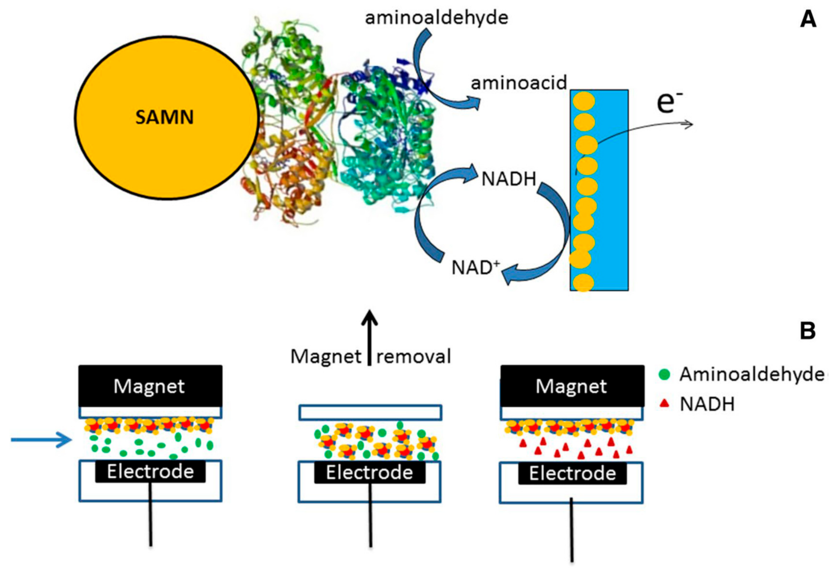 Nanomaterials 09 01608 g002
