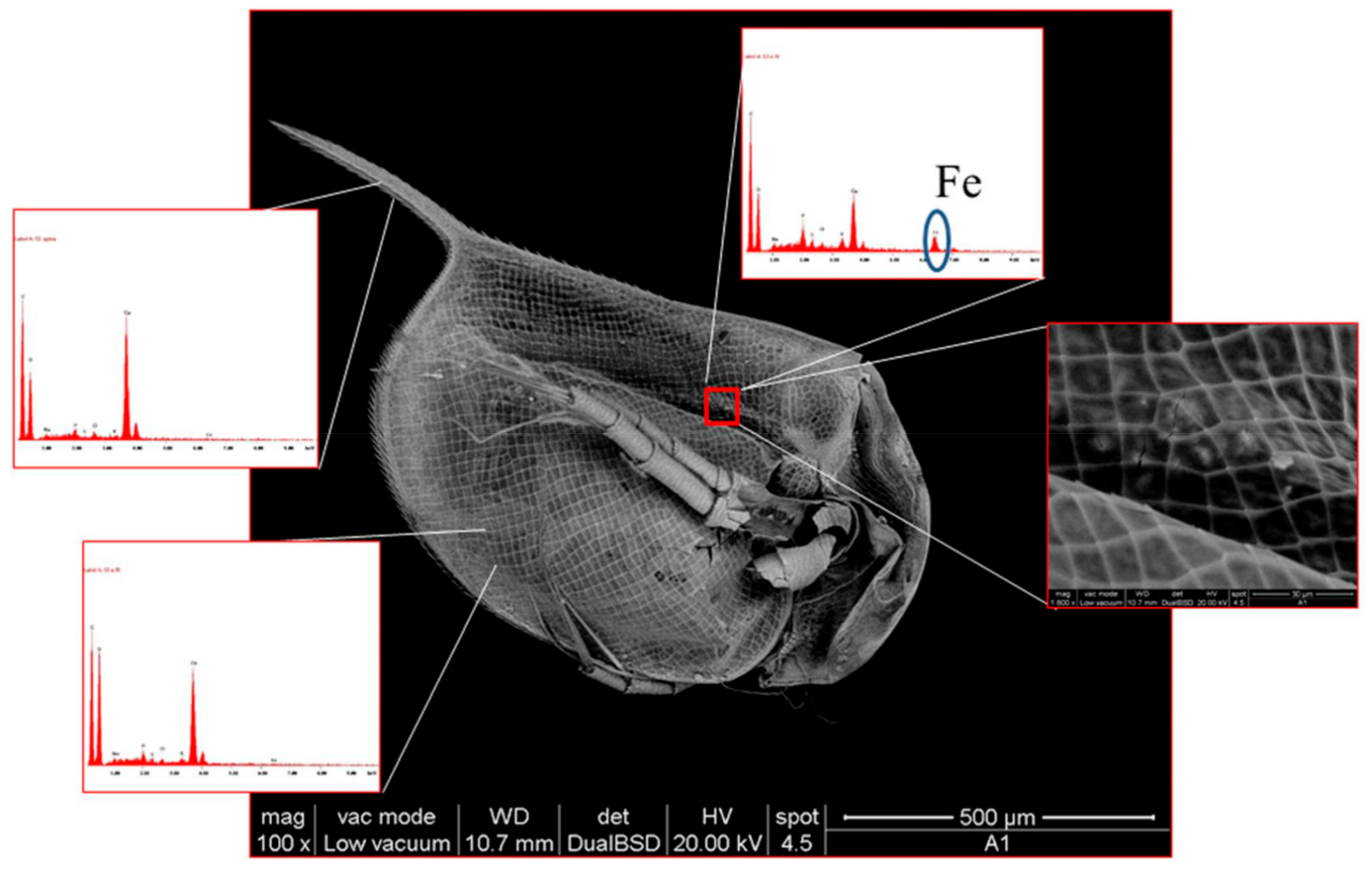 Nanomaterials 09 01608 g007