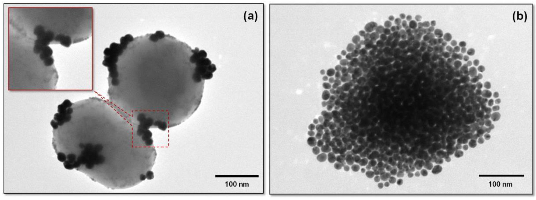 Nanomaterials 09 01623 g008