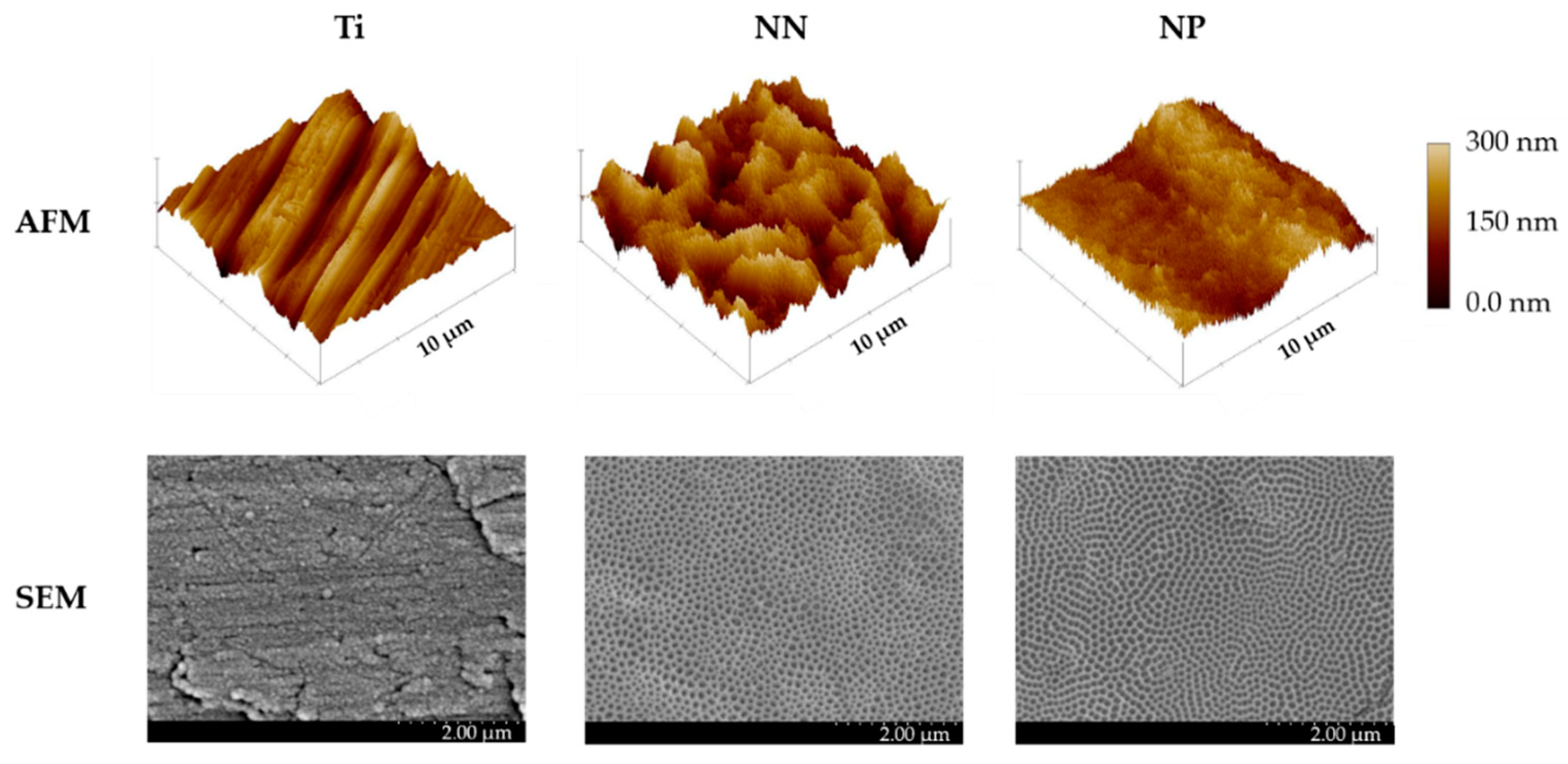 Nanomaterials Free Full Text Oriented Cell Alignment Induced