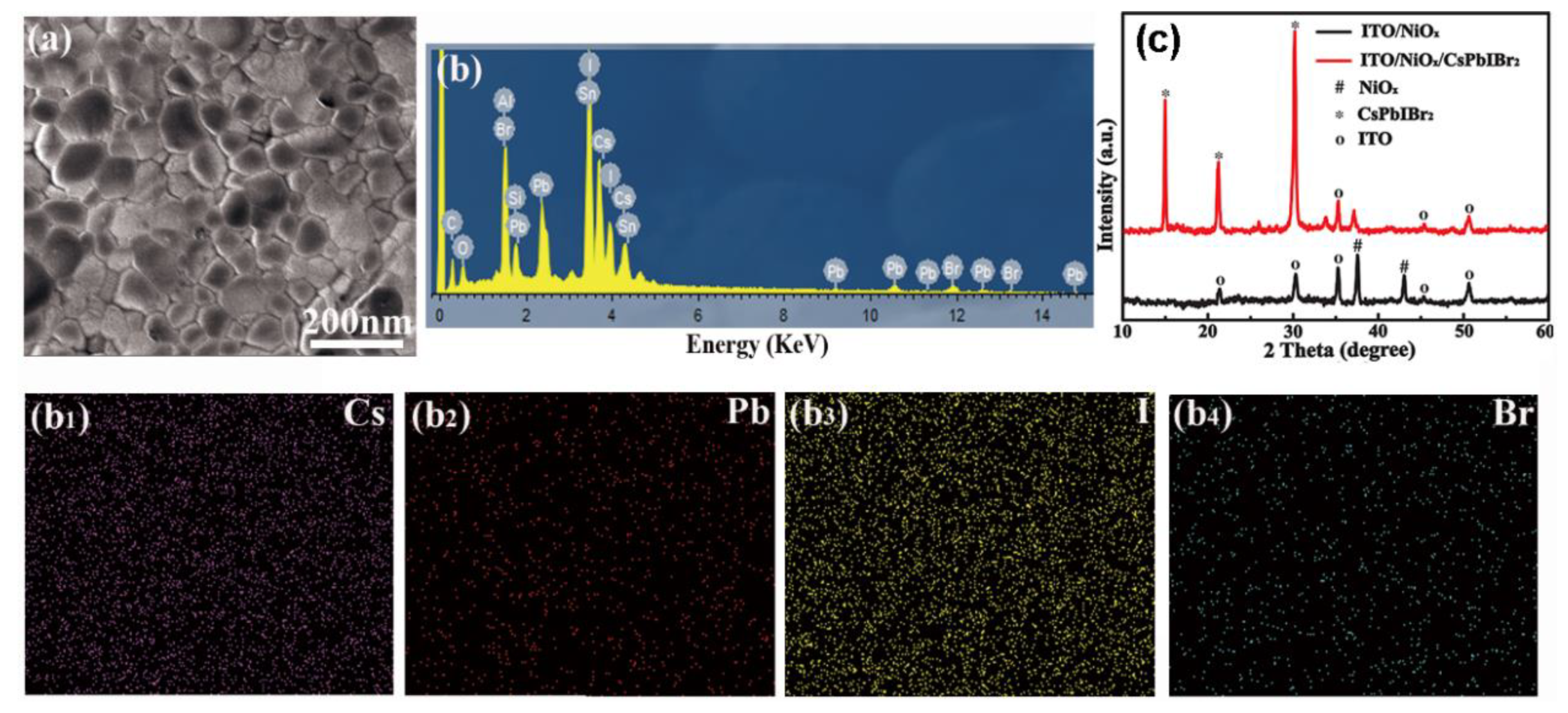 Nanomaterials 09 01666 g002