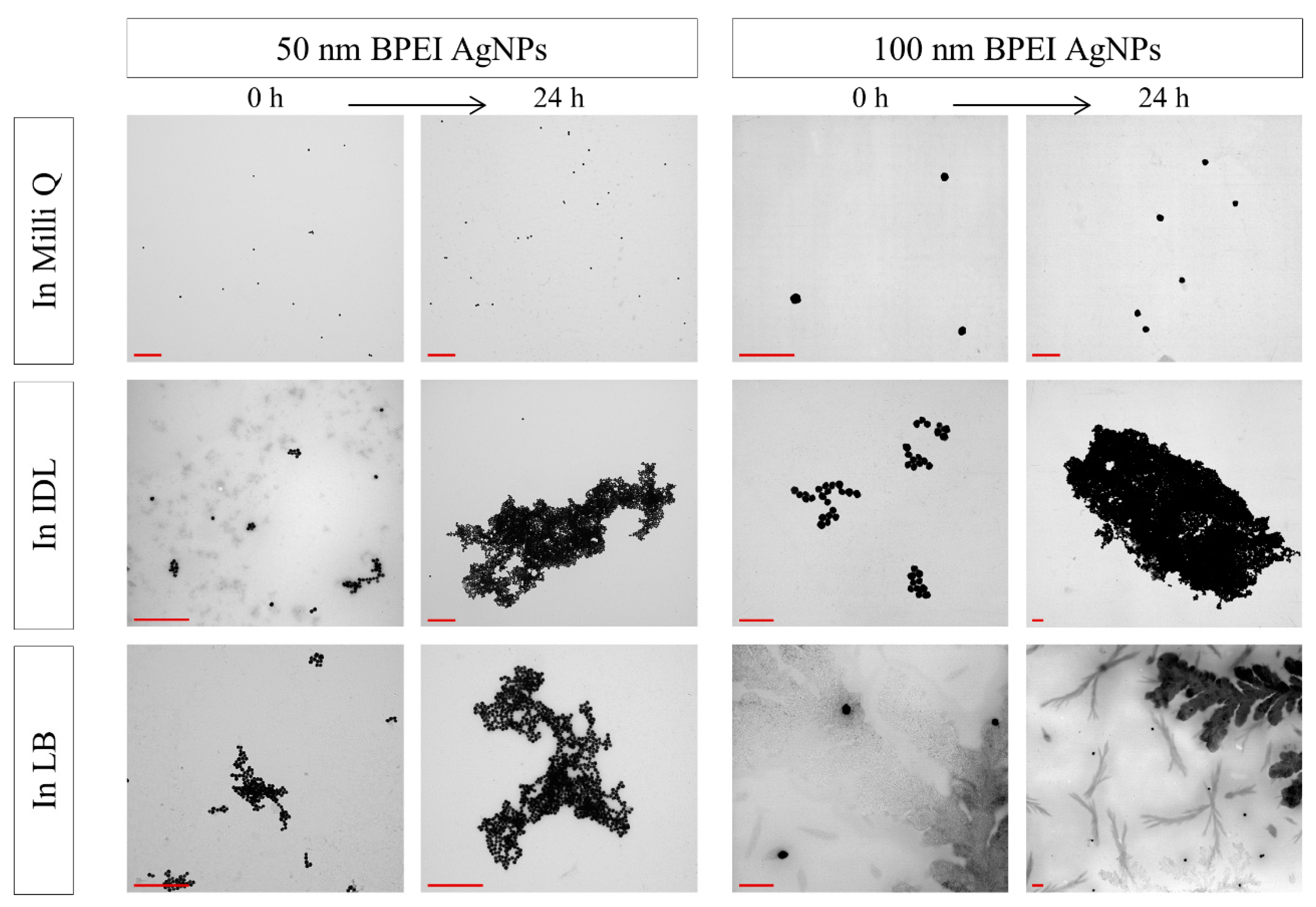 Nanomaterials 09 01684 g007