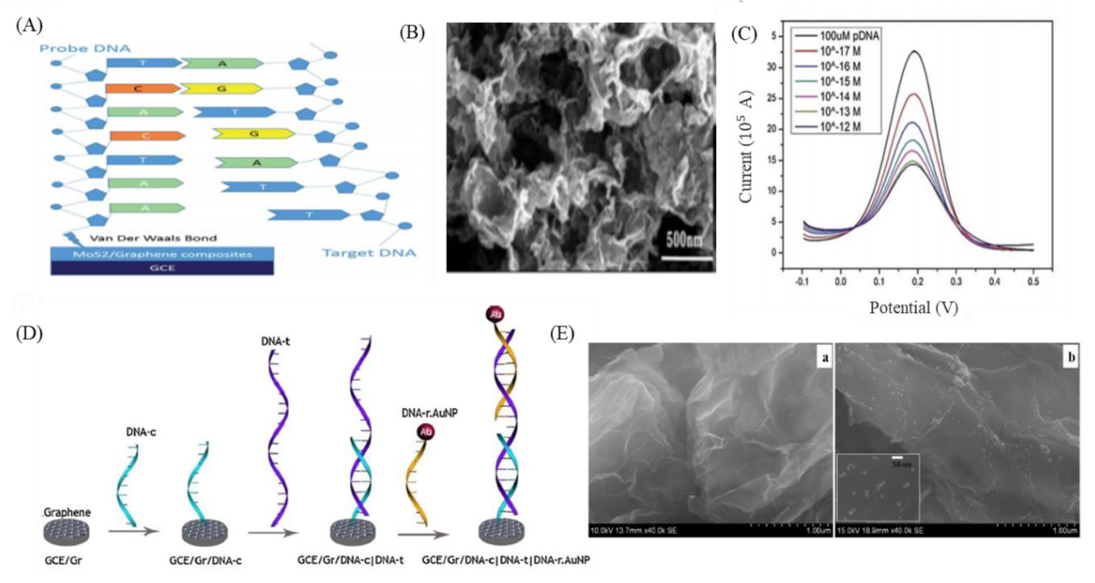 Nanomaterials 09 01725 g003