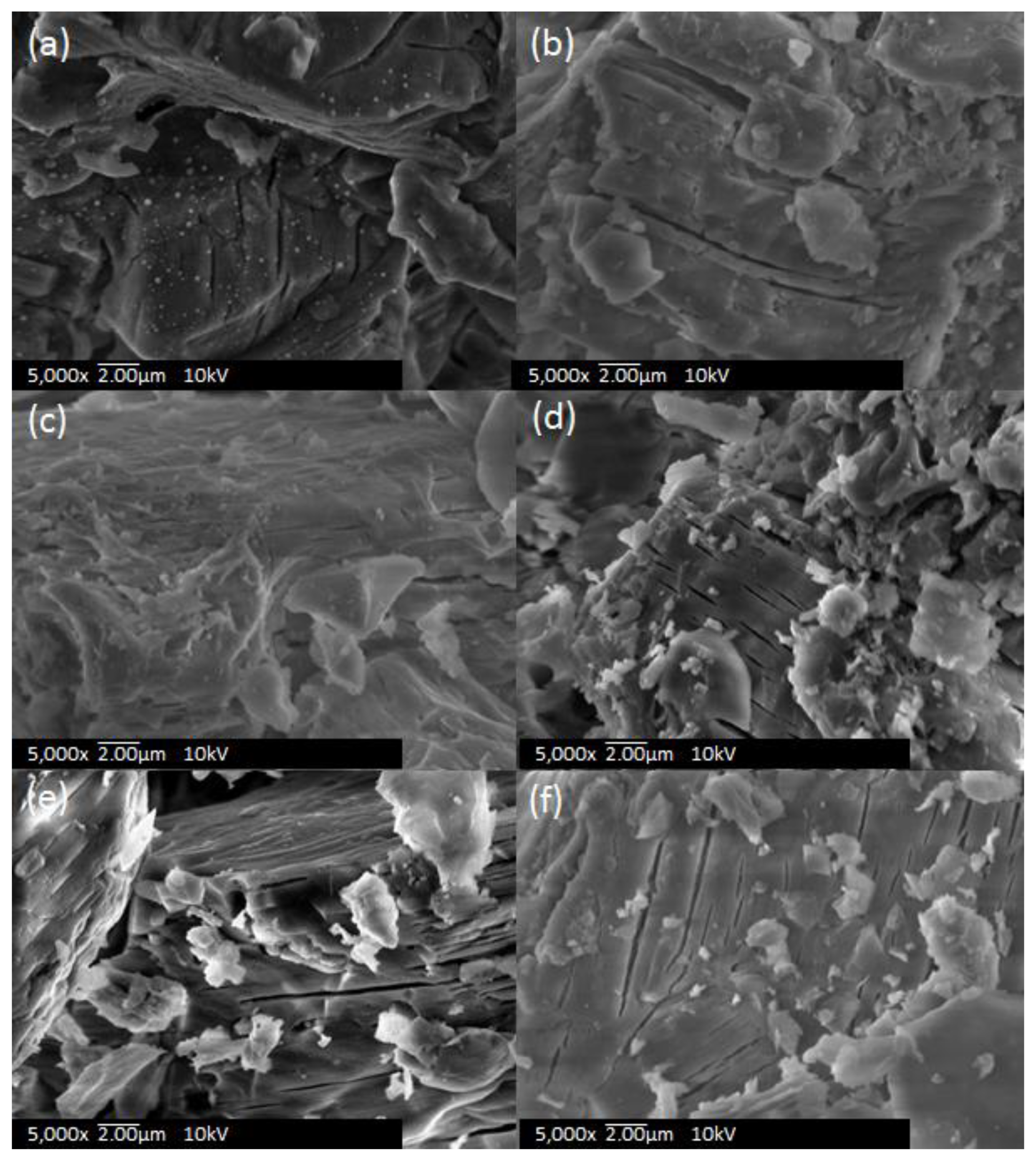 Nanomaterials 09 01734 g002