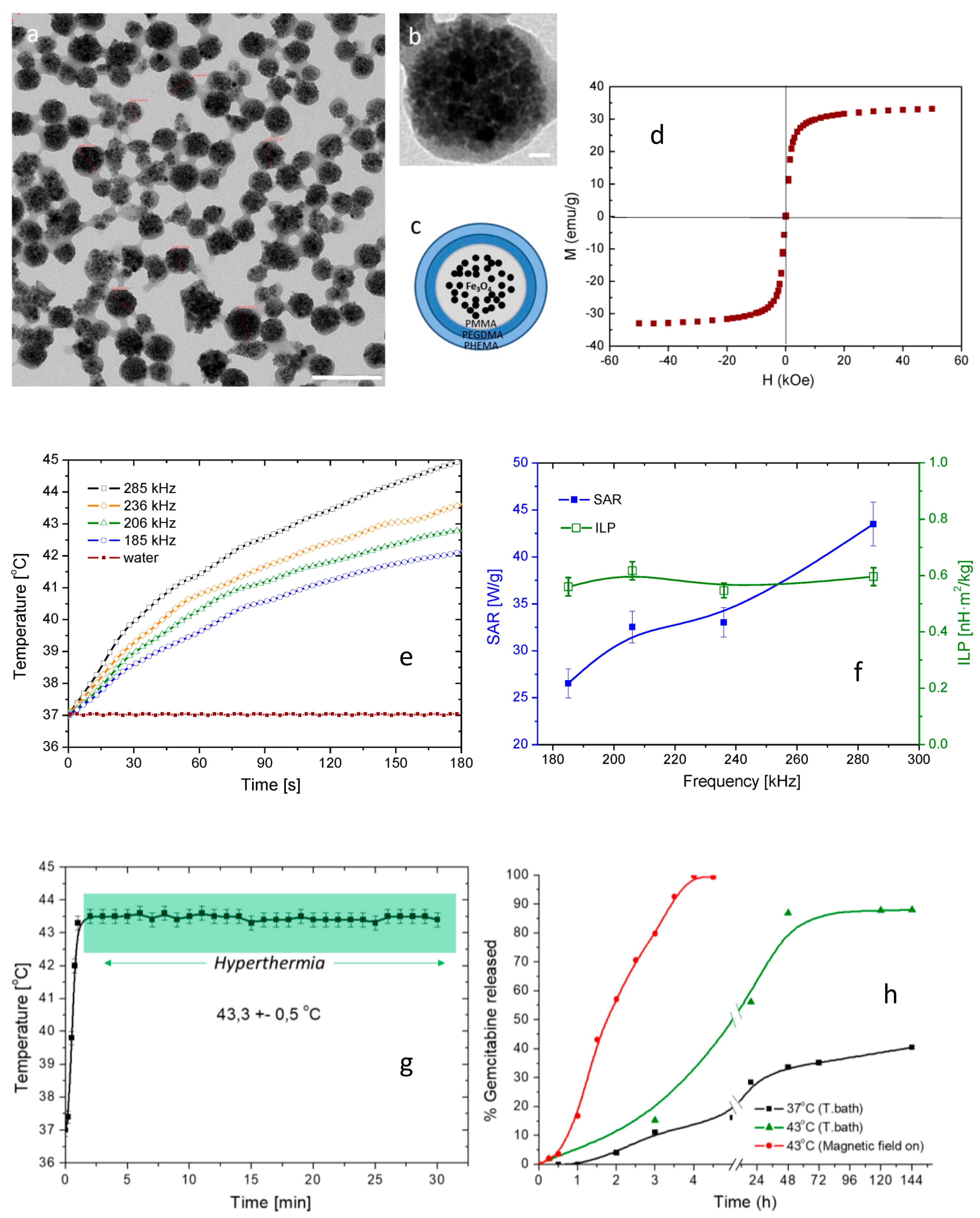 Nanomaterials Free Full Text Recent Advances In Magnetite Nanoparticle Functionalization For