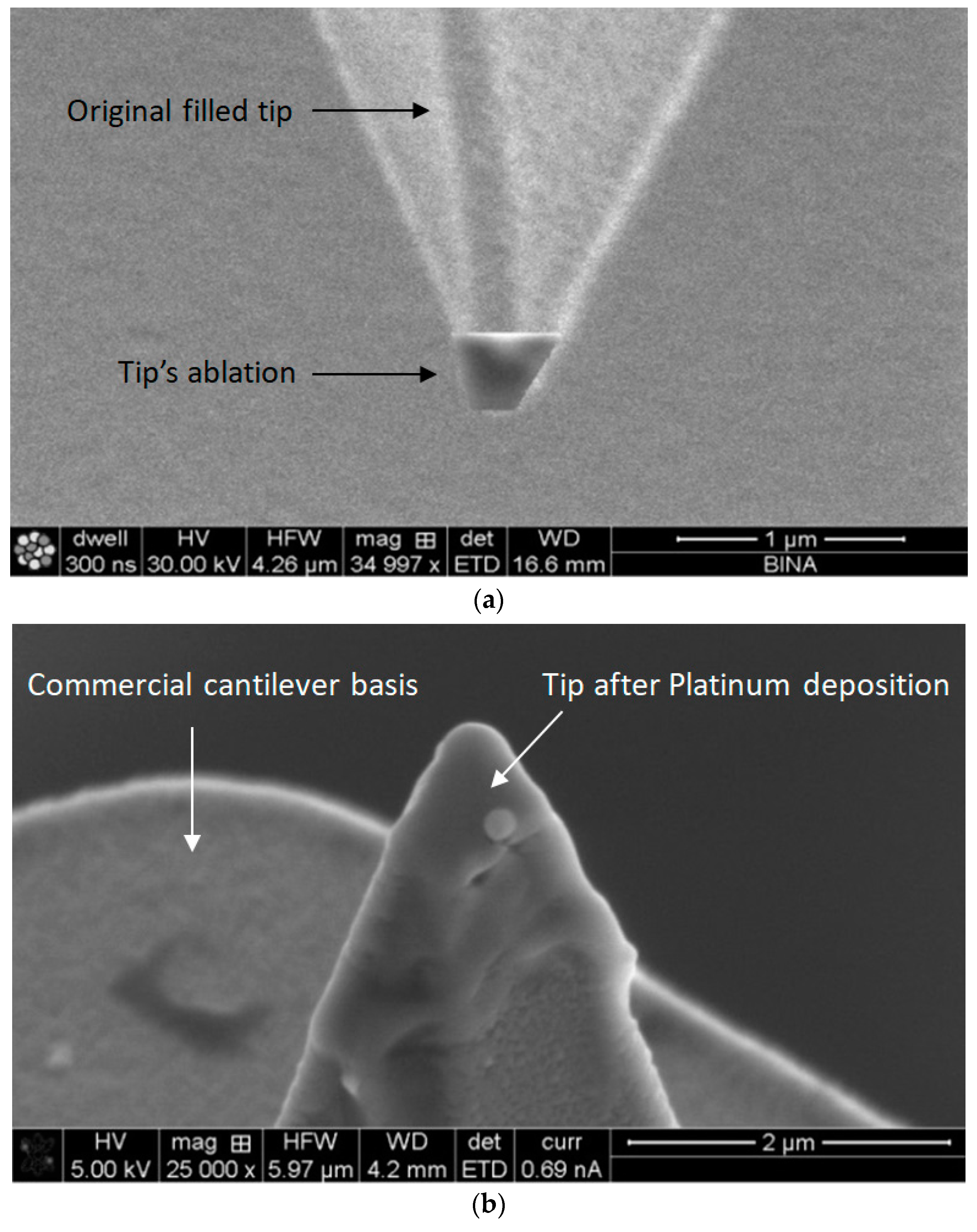 Nanomaterials 09 01792 g005