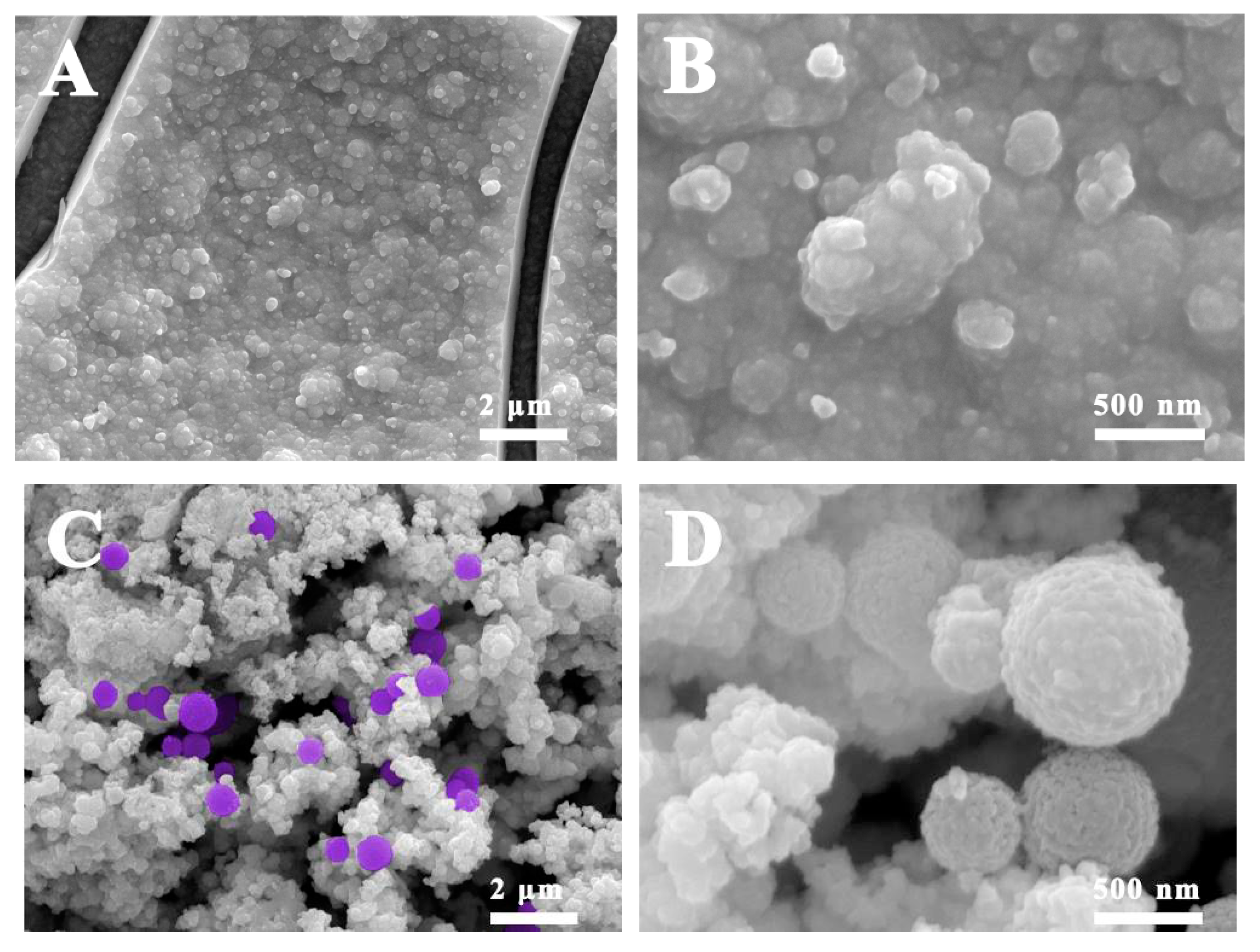 Nanomaterials 09 01795 g003 Nanomaterials 09 01795 g003