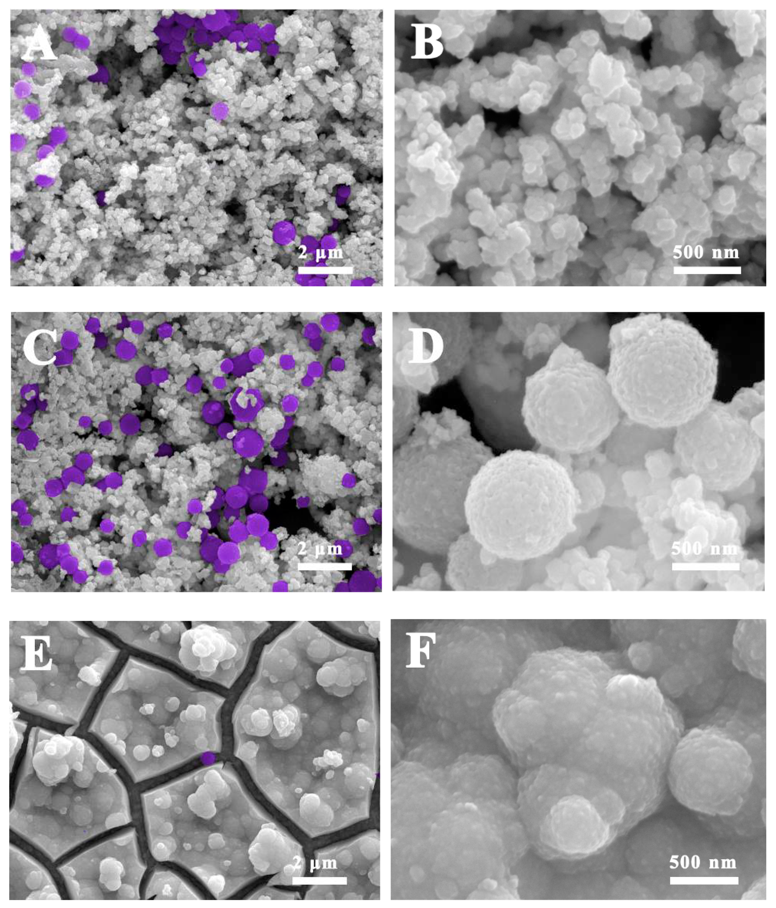 Nanomaterials 09 01795 g005 Nanomaterials 09 01795 g005