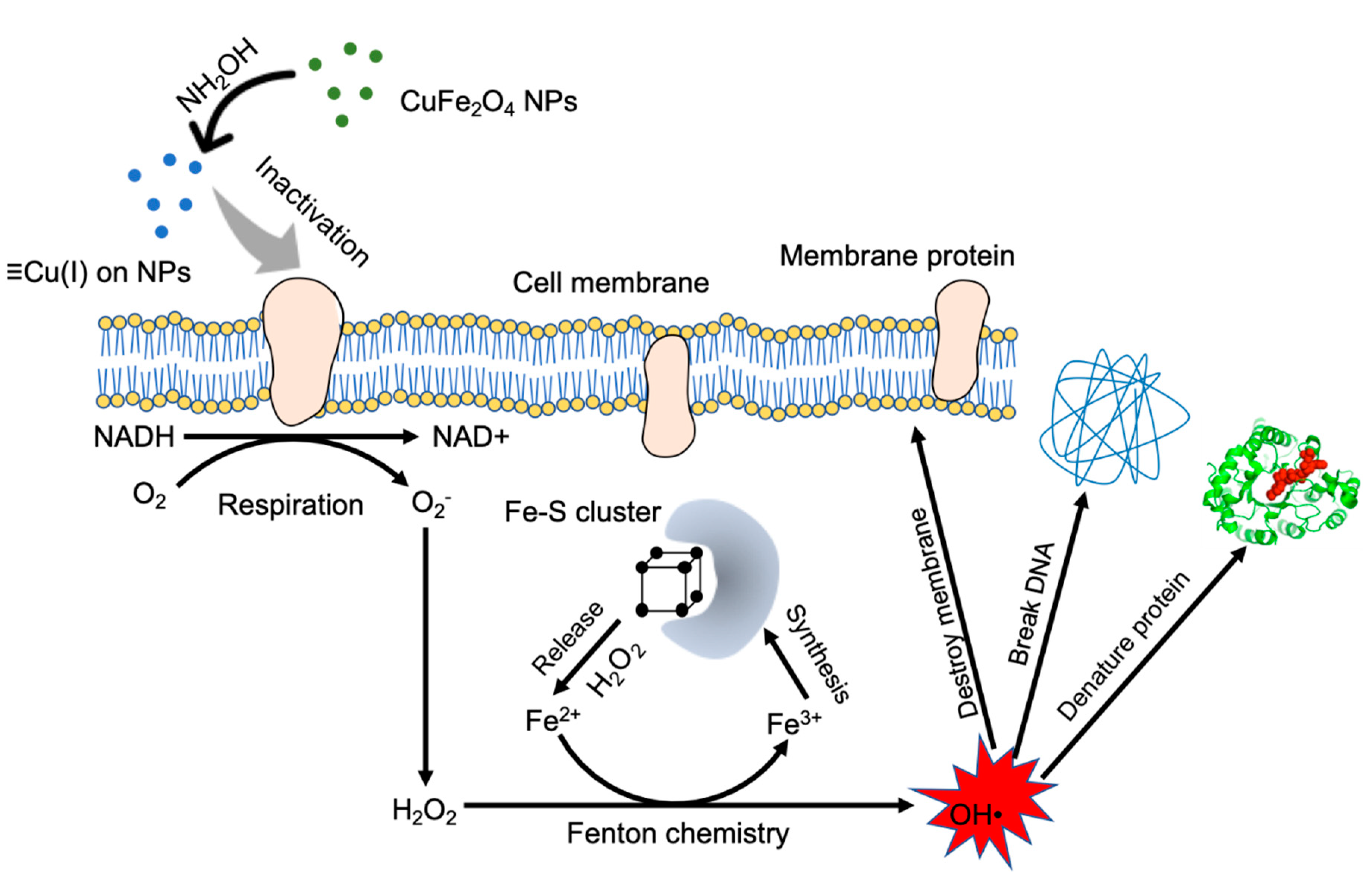 Nanomaterials 10 00018 g009 Nanomaterials 10 00018 g009
