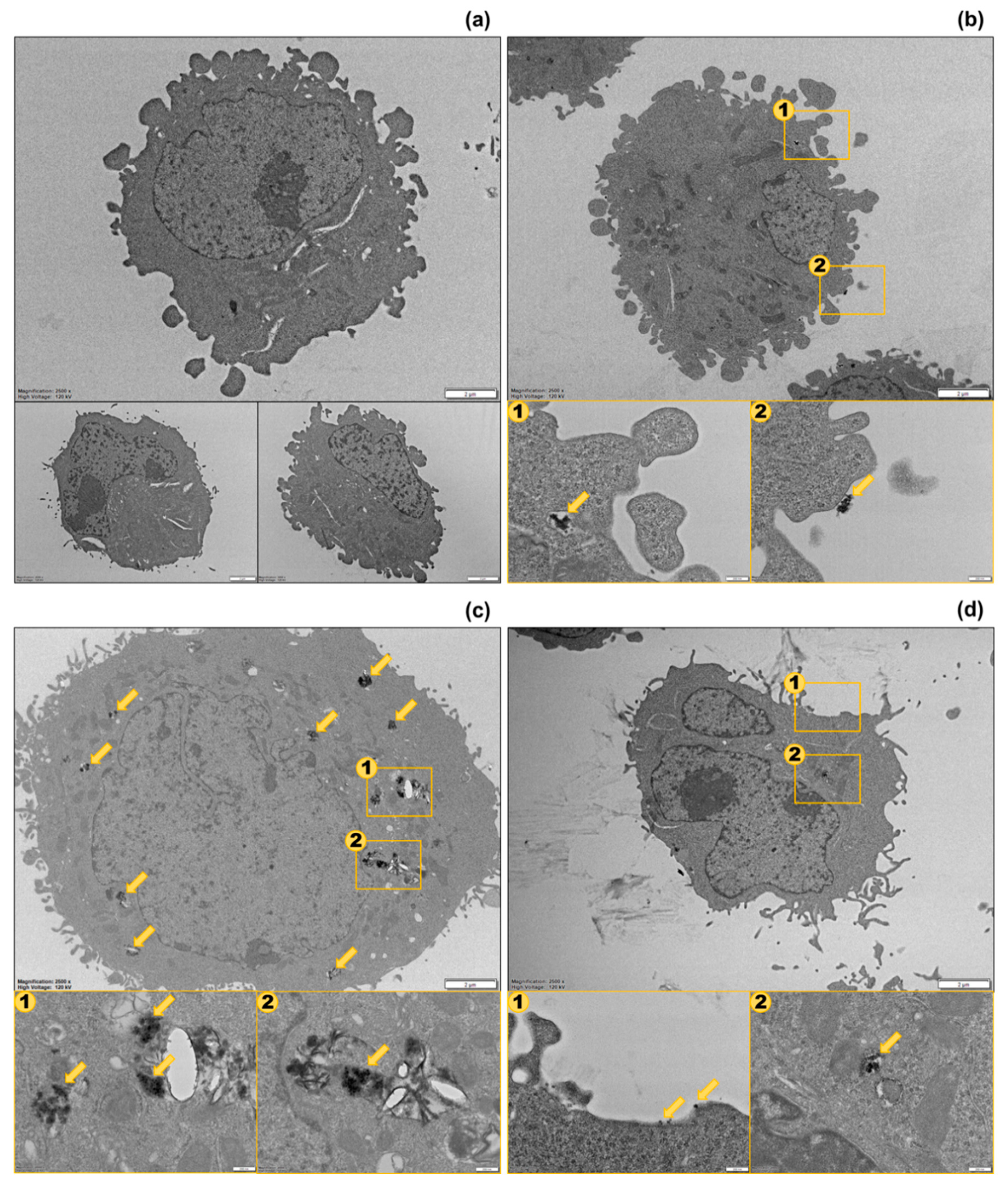 Nanomaterials 10 00036 g005 Nanomaterials 10 00036 g005
