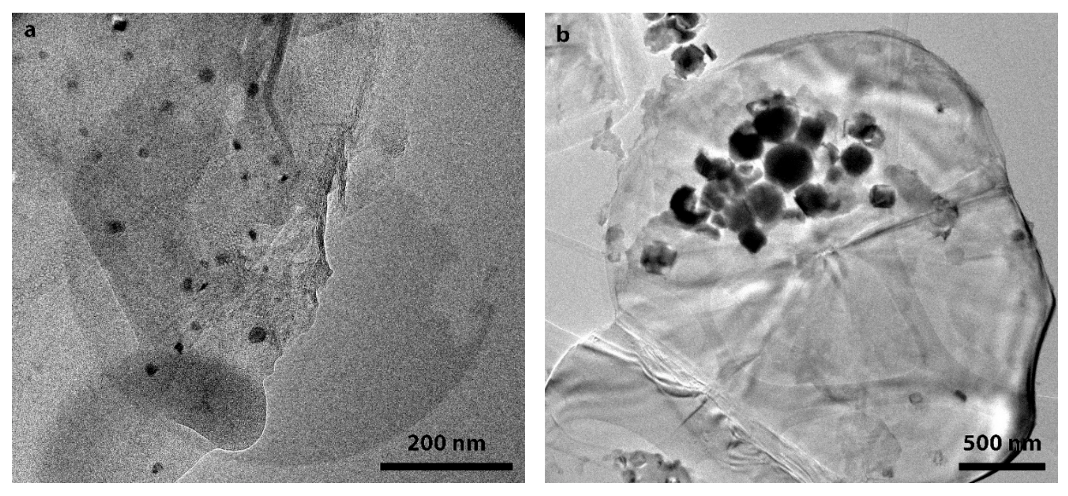 Nanomaterials 10 00037 g007 Nanomaterials 10 00037 g007