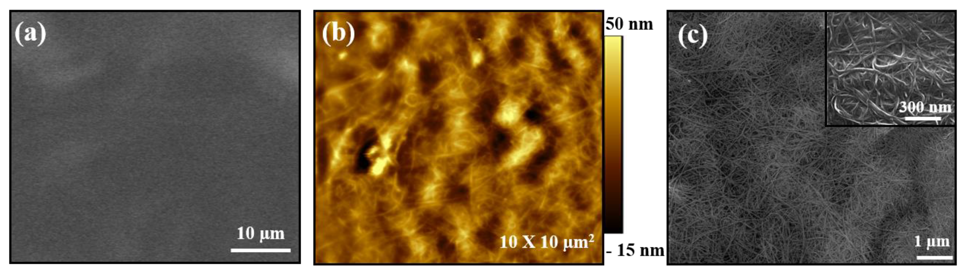 Nanomaterials 10 00041 g004