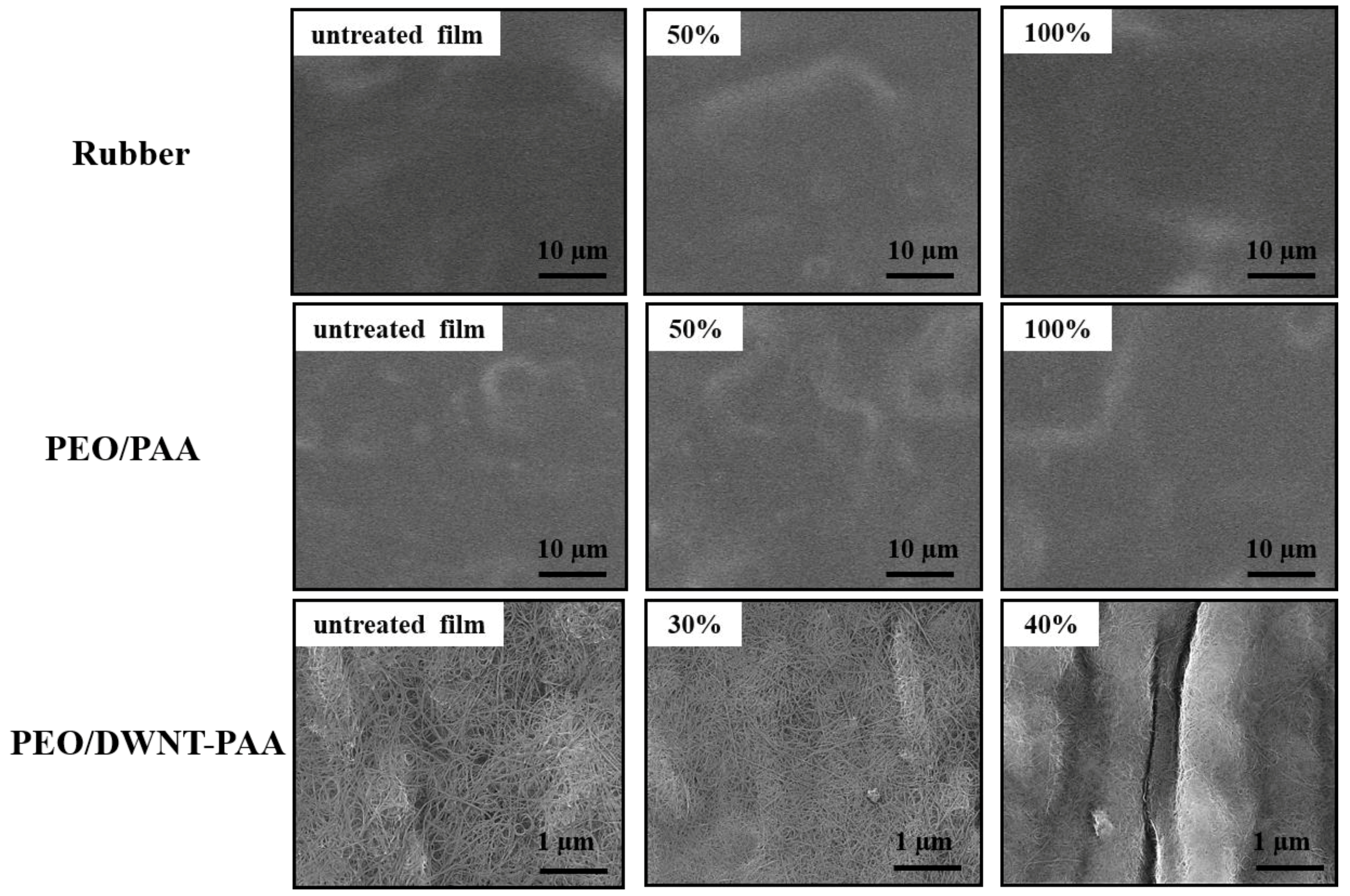 Nanomaterials 10 00041 g005