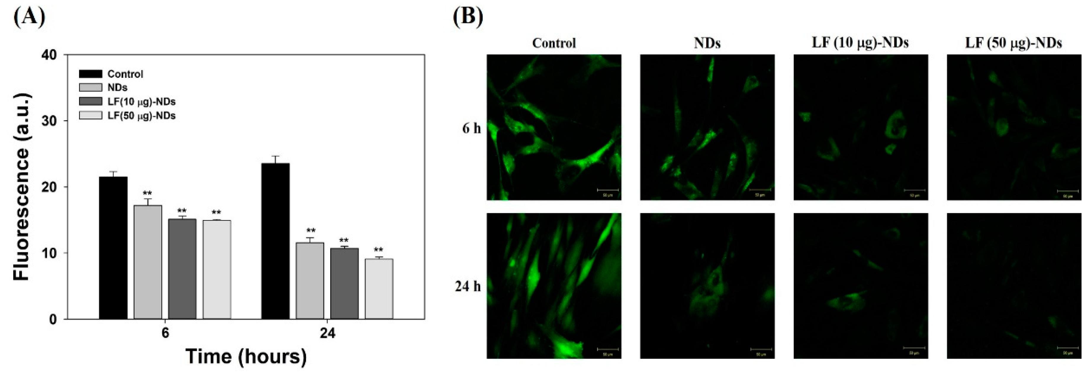 Nanomaterials 10 00050 g005