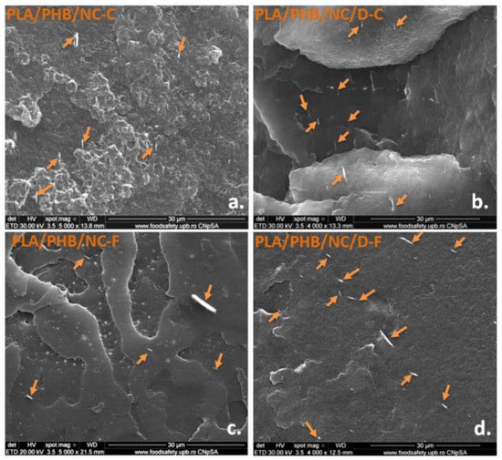 Nanomaterials Free Full Text Morpho Structural Thermal And Mechanical Properties Of Pla Phb Cellulose Biodegradable Nanocomposites Obtained By Compression Molding Extrusion And 3d Printing Html