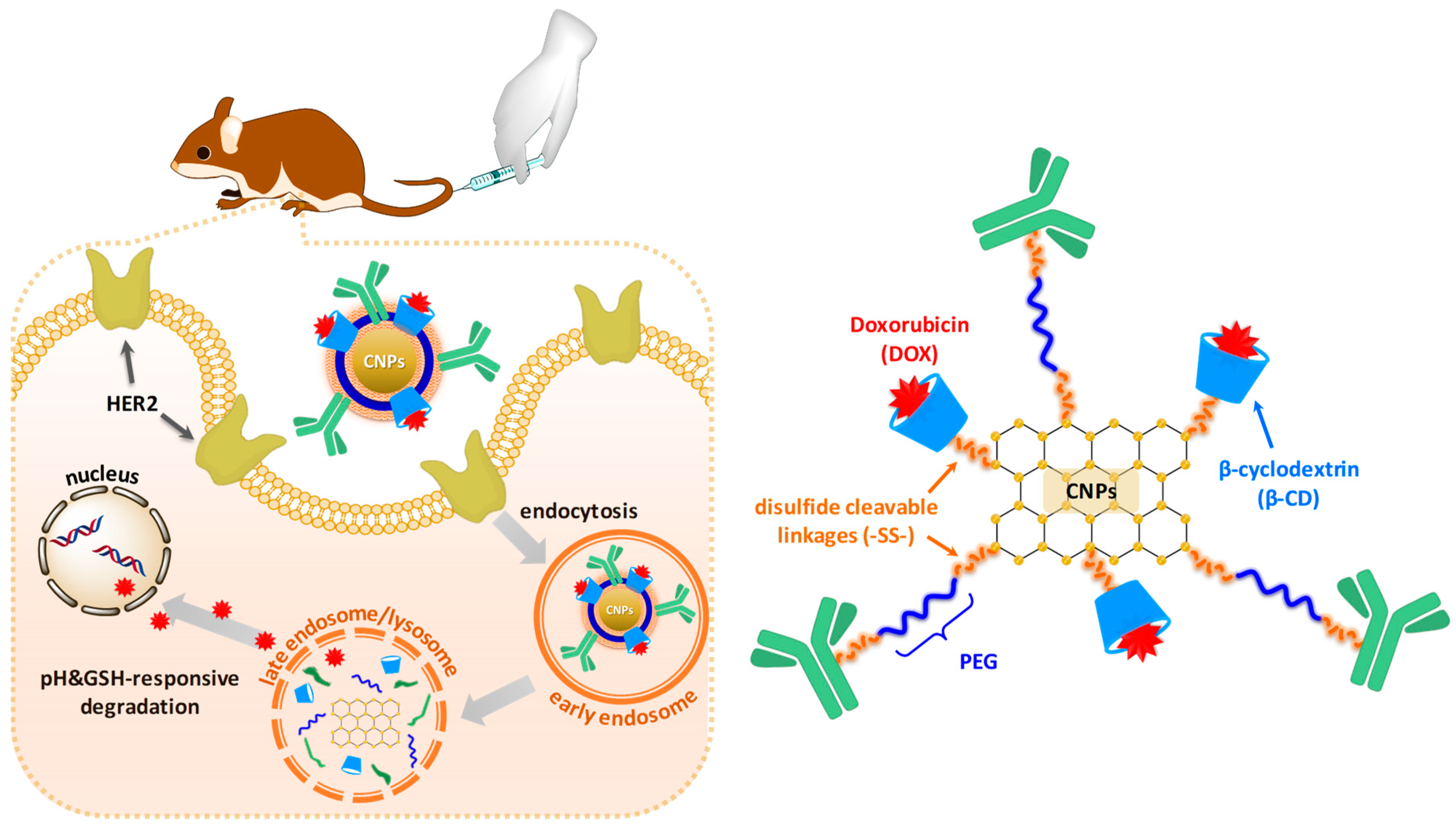 Nanomaterials 10 00091 sch001